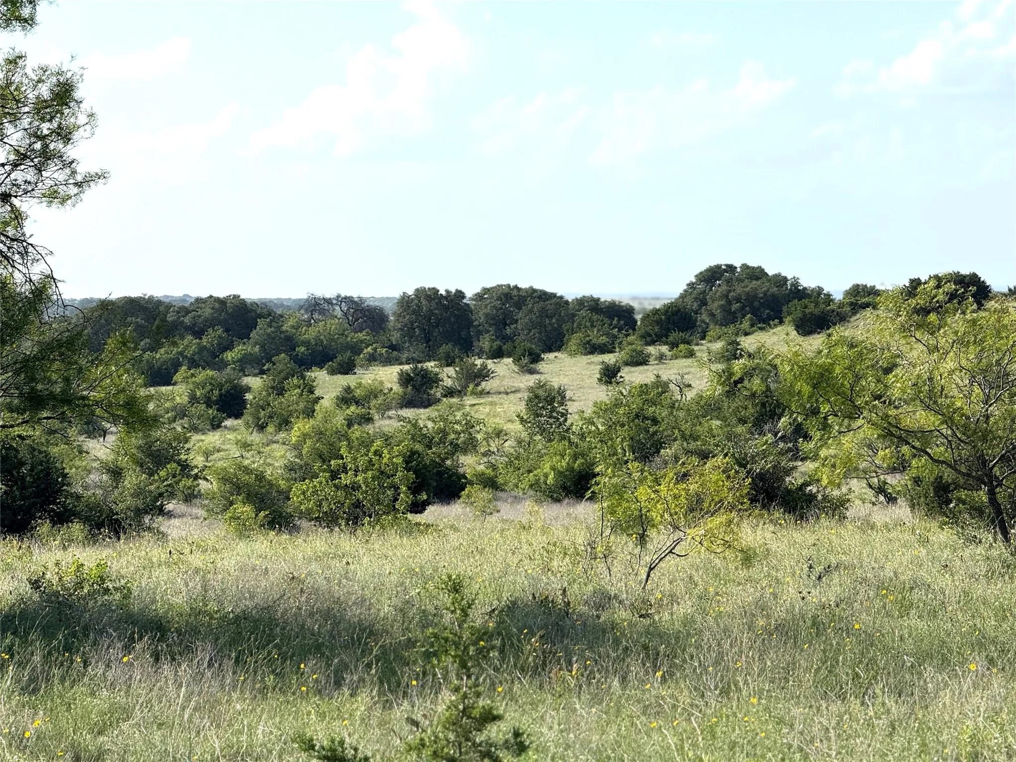 Ranch For Sale in Hamilton County , TBD1 CR 620, Hamilton, Texas 76531, 0, 0, Garage spaces, 0 Sqft, built in 0, Price $847,500, mls#21166322, Real Estate Agent in Hamilton, Homes For Sale in Hamilton county, Homes For Sale in Hamilton, Realtor in Hamilton Texas, Real Estate Brokerage Independent Realty Texas, Luminita Cordes Realtor