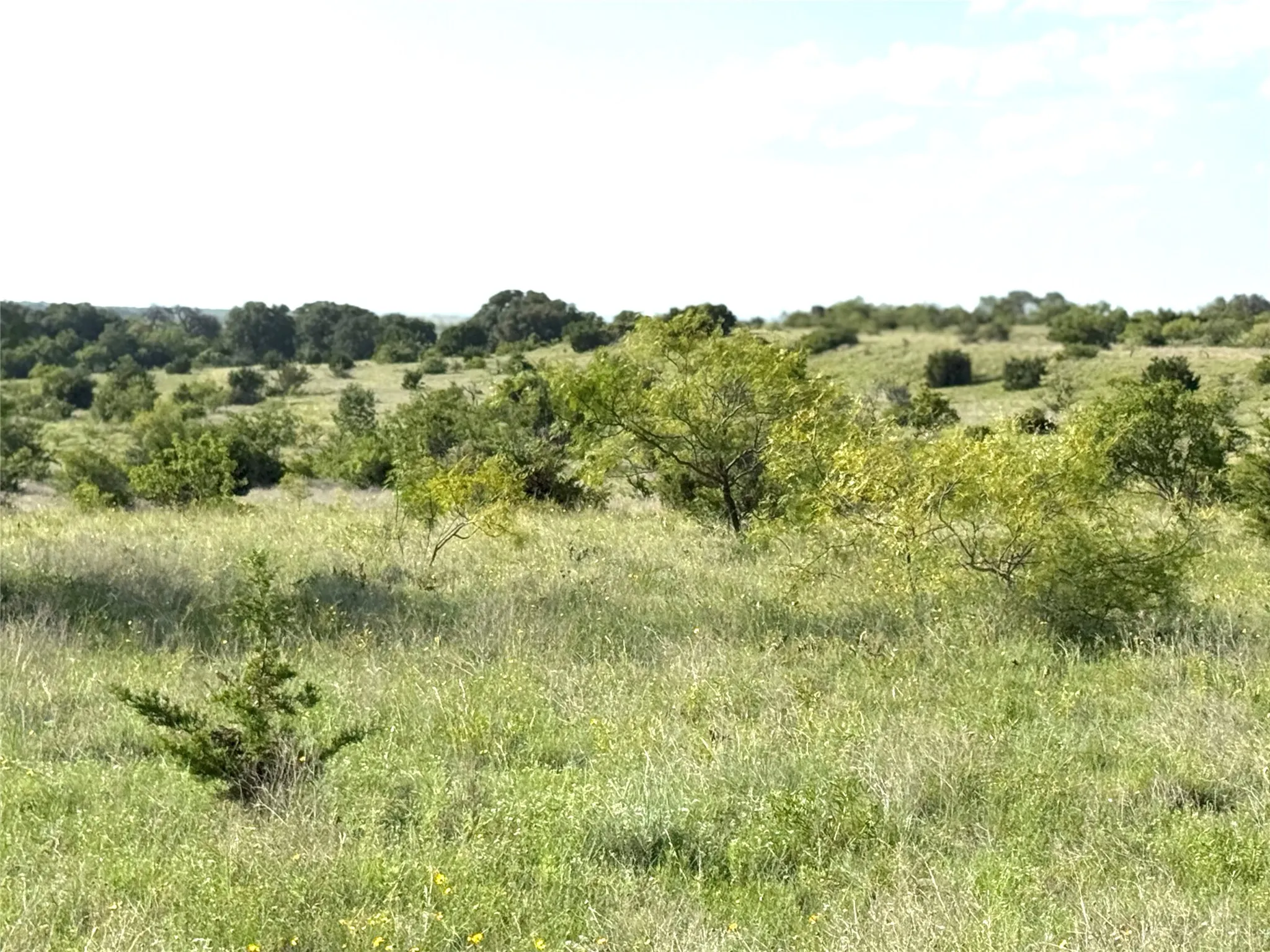 Ranch For Sale in Hamilton County , TBD1 CR 620, Hamilton, Texas 76531, 0, 0, Garage spaces, 0 Sqft, built in 0, Price $847,500, mls#21166322, Real Estate Agent in Hamilton, Homes For Sale in Hamilton county, Homes For Sale in Hamilton, Realtor in Hamilton Texas, Real Estate Brokerage Independent Realty Texas, Luminita Cordes Realtor