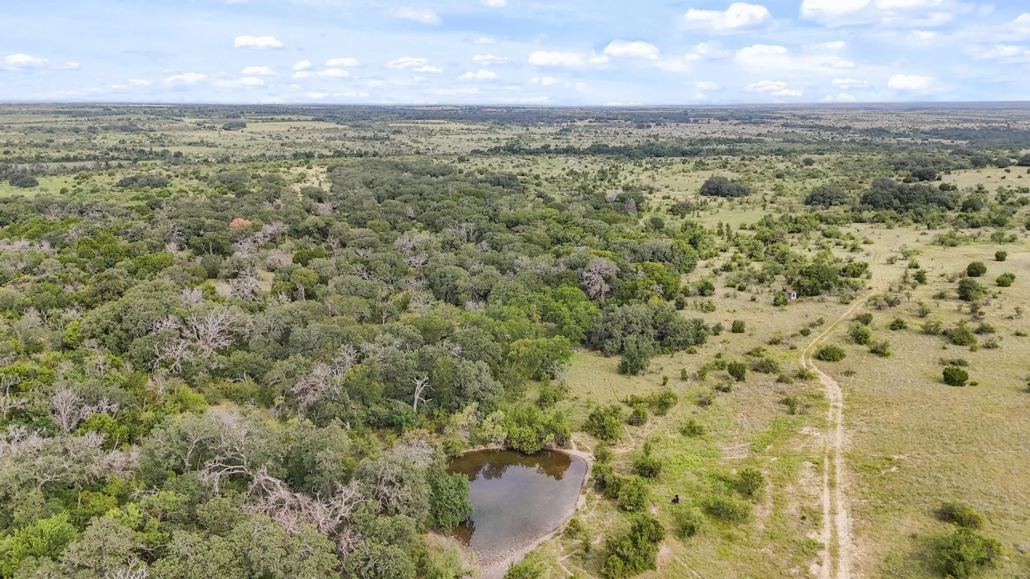 Ranch For Sale in Hamilton County , TBD1 CR 620, Hamilton, Texas 76531, 0, 0, Garage spaces, 0 Sqft, built in 0, Price $847,500, mls#21166322, Real Estate Agent in Hamilton, Homes For Sale in Hamilton county, Homes For Sale in Hamilton, Realtor in Hamilton Texas, Real Estate Brokerage Independent Realty Texas, Luminita Cordes Realtor