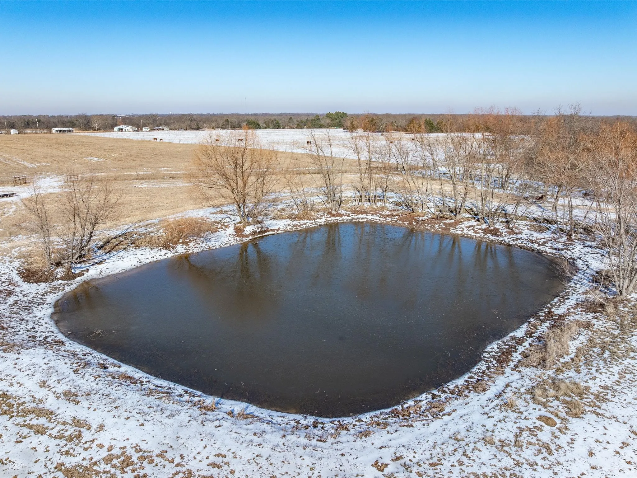Unimproved Land For Sale in Rains County , Lot 4 R's County Road 4330, Point, Texas 75472, 0, 0, Garage spaces, 0 Sqft, built in 0, Price $139,900, mls#21166454, Real Estate Agent in Point, Homes For Sale in Rains county, Homes For Sale in Point, Realtor in Point Texas, Real Estate Brokerage Independent Realty Texas, Luminita Cordes Realtor