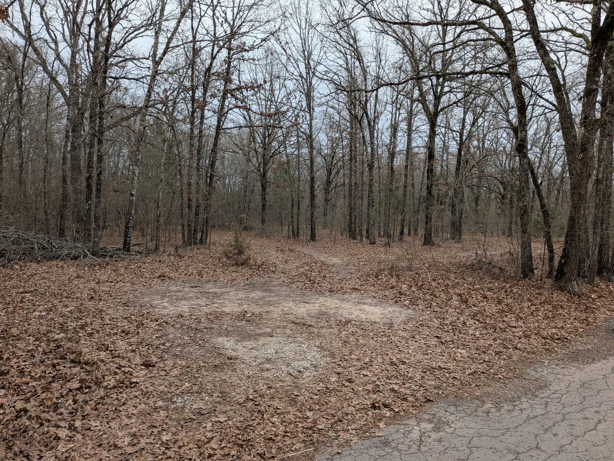 Unimproved Land For Sale in Rains County , 179 RS County Road 2572, Alba, Texas 75410, 0, 0, Garage spaces, 0 Sqft, built in 0, mls#21166482, Real Estate Agent in Alba, Homes For Sale in Rains county, Homes For Sale in Alba, Realtor in Alba Texas, Real Estate Brokerage Independent Realty Texas, Luminita Cordes Realtor