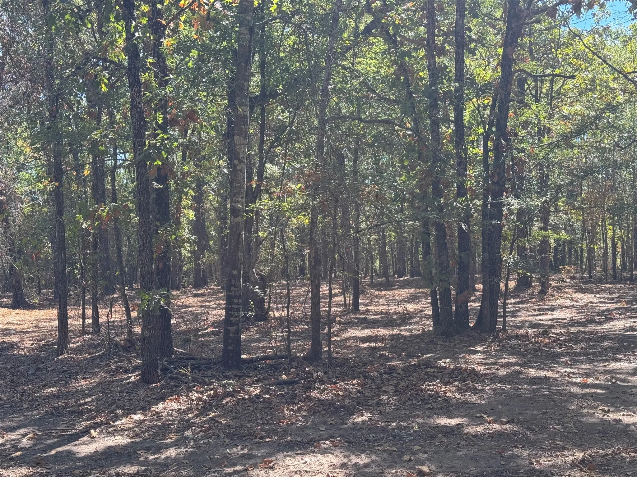 Unimproved Land For Sale in Rains County , 179 RS County Road 2572, Alba, Texas 75410, 0, 0, Garage spaces, 0 Sqft, built in 0, mls#21166482, Real Estate Agent in Alba, Homes For Sale in Rains county, Homes For Sale in Alba, Realtor in Alba Texas, Real Estate Brokerage Independent Realty Texas, Luminita Cordes Realtor