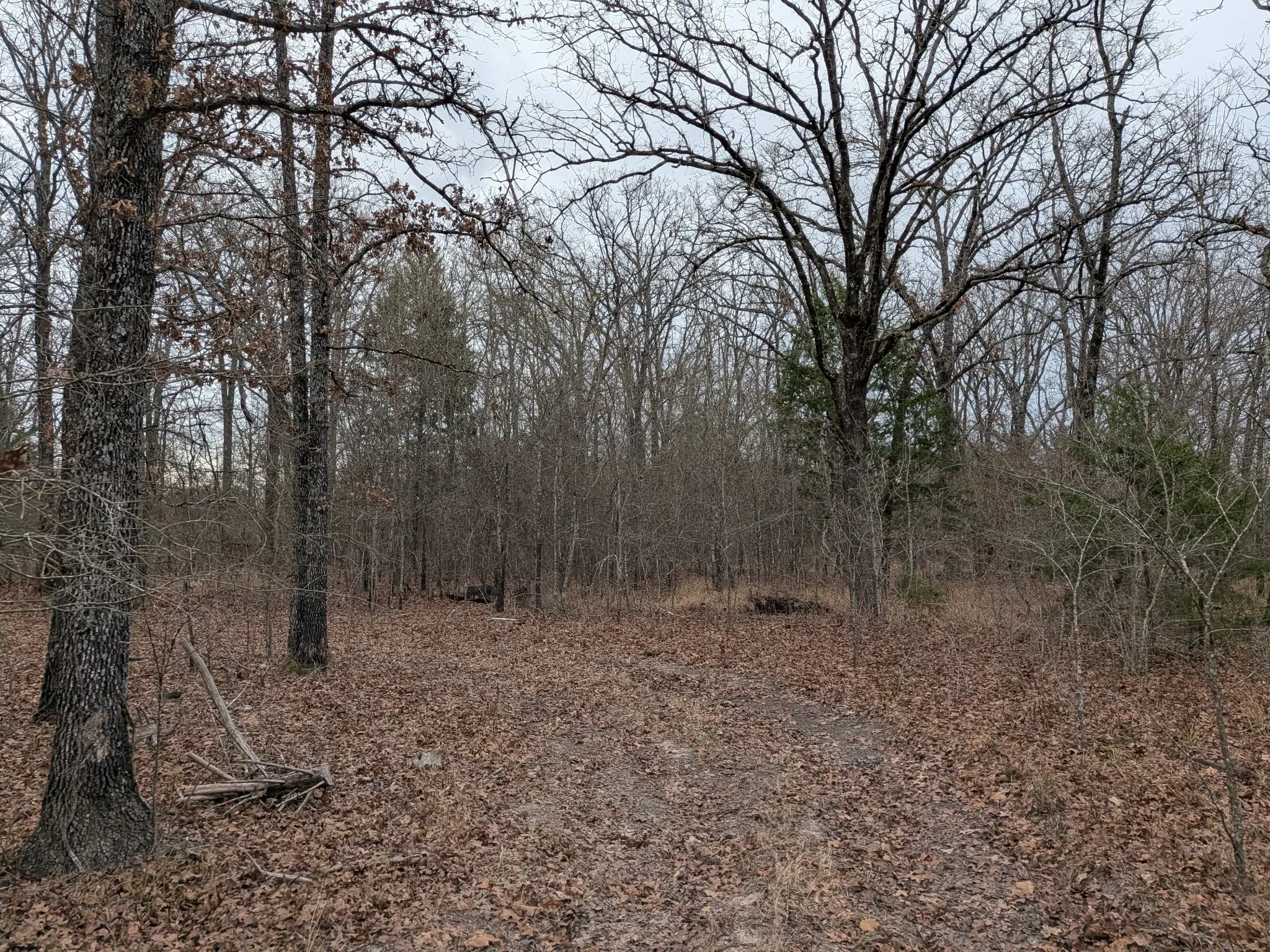 Unimproved Land For Sale in Rains County , 179 RS County Road 2572, Alba, Texas 75410, 0, 0, Garage spaces, 0 Sqft, built in 0, mls#21166482, Real Estate Agent in Alba, Homes For Sale in Rains county, Homes For Sale in Alba, Realtor in Alba Texas, Real Estate Brokerage Independent Realty Texas, Luminita Cordes Realtor