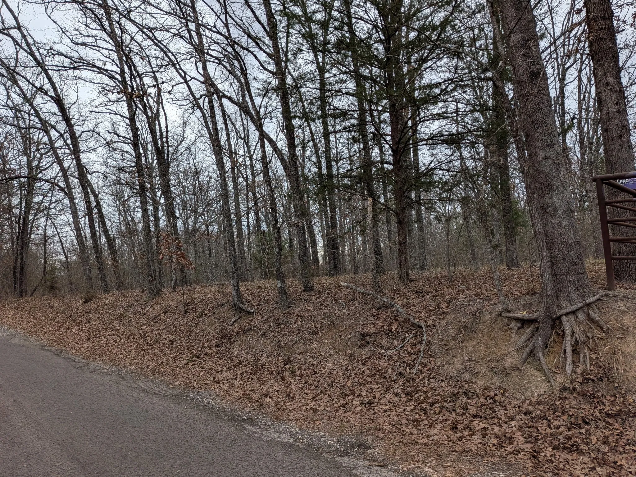 Unimproved Land For Sale in Rains County , 179 RS County Road 2572, Alba, Texas 75410, 0, 0, Garage spaces, 0 Sqft, built in 0, mls#21166482, Real Estate Agent in Alba, Homes For Sale in Rains county, Homes For Sale in Alba, Realtor in Alba Texas, Real Estate Brokerage Independent Realty Texas, Luminita Cordes Realtor