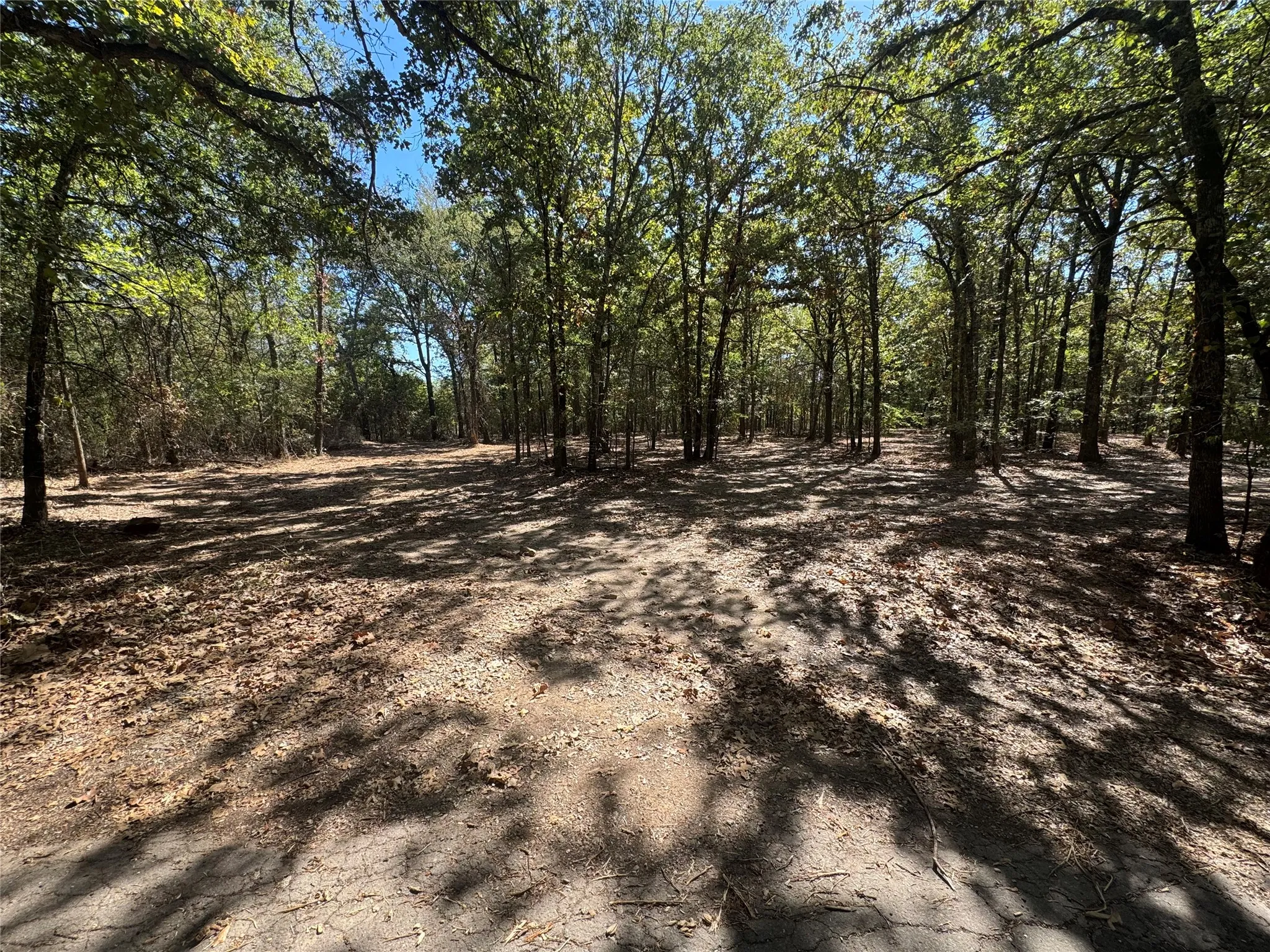 Unimproved Land For Sale in Rains County , 179 RS County Road 2572, Alba, Texas 75410, 0, 0, Garage spaces, 0 Sqft, built in 0, mls#21166482, Real Estate Agent in Alba, Homes For Sale in Rains county, Homes For Sale in Alba, Realtor in Alba Texas, Real Estate Brokerage Independent Realty Texas, Luminita Cordes Realtor