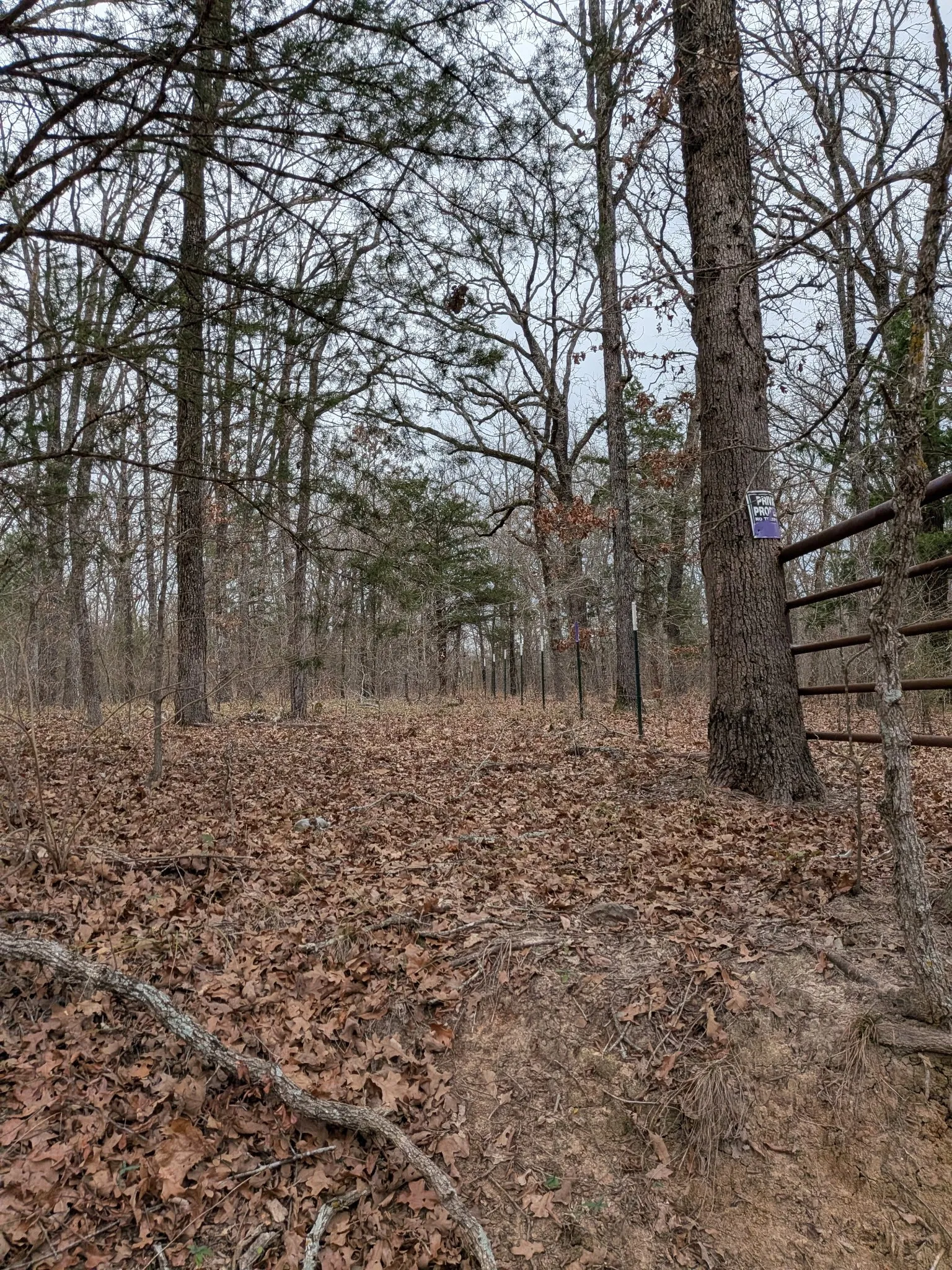 Unimproved Land For Sale in Rains County , 179 RS County Road 2572, Alba, Texas 75410, 0, 0, Garage spaces, 0 Sqft, built in 0, mls#21166482, Real Estate Agent in Alba, Homes For Sale in Rains county, Homes For Sale in Alba, Realtor in Alba Texas, Real Estate Brokerage Independent Realty Texas, Luminita Cordes Realtor