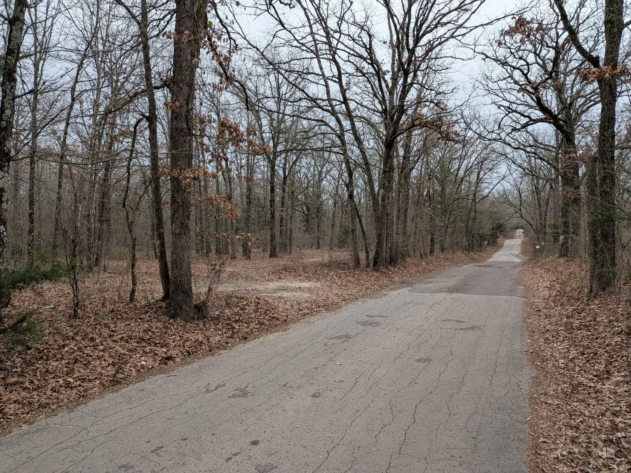 Unimproved Land For Sale in Rains County , 179 RS County Road 2572, Alba, Texas 75410, 0, 0, Garage spaces, 0 Sqft, built in 0, mls#21166482, Real Estate Agent in Alba, Homes For Sale in Rains county, Homes For Sale in Alba, Realtor in Alba Texas, Real Estate Brokerage Independent Realty Texas, Luminita Cordes Realtor