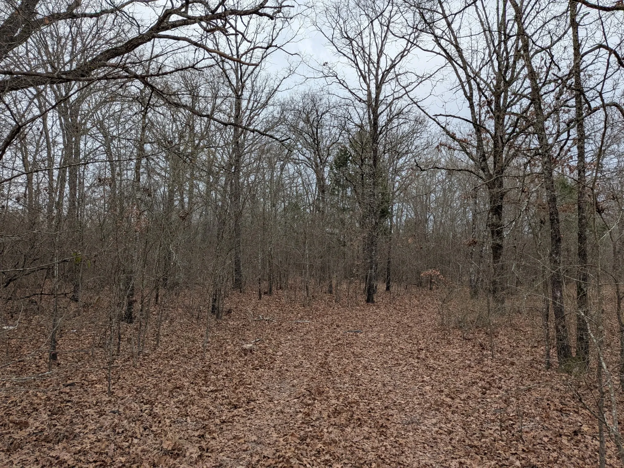 Unimproved Land For Sale in Rains County , 179 RS County Road 2572, Alba, Texas 75410, 0, 0, Garage spaces, 0 Sqft, built in 0, mls#21166482, Real Estate Agent in Alba, Homes For Sale in Rains county, Homes For Sale in Alba, Realtor in Alba Texas, Real Estate Brokerage Independent Realty Texas, Luminita Cordes Realtor