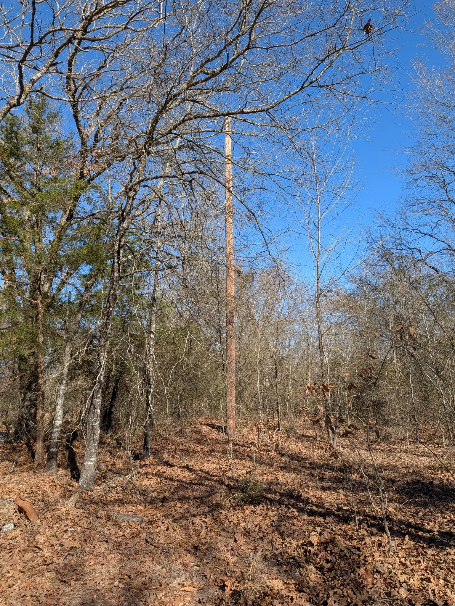 Unimproved Land For Sale in Rains County , 179 RS County Road 2572, Alba, Texas 75410, 0, 0, Garage spaces, 0 Sqft, built in 0, mls#21166482, Real Estate Agent in Alba, Homes For Sale in Rains county, Homes For Sale in Alba, Realtor in Alba Texas, Real Estate Brokerage Independent Realty Texas, Luminita Cordes Realtor