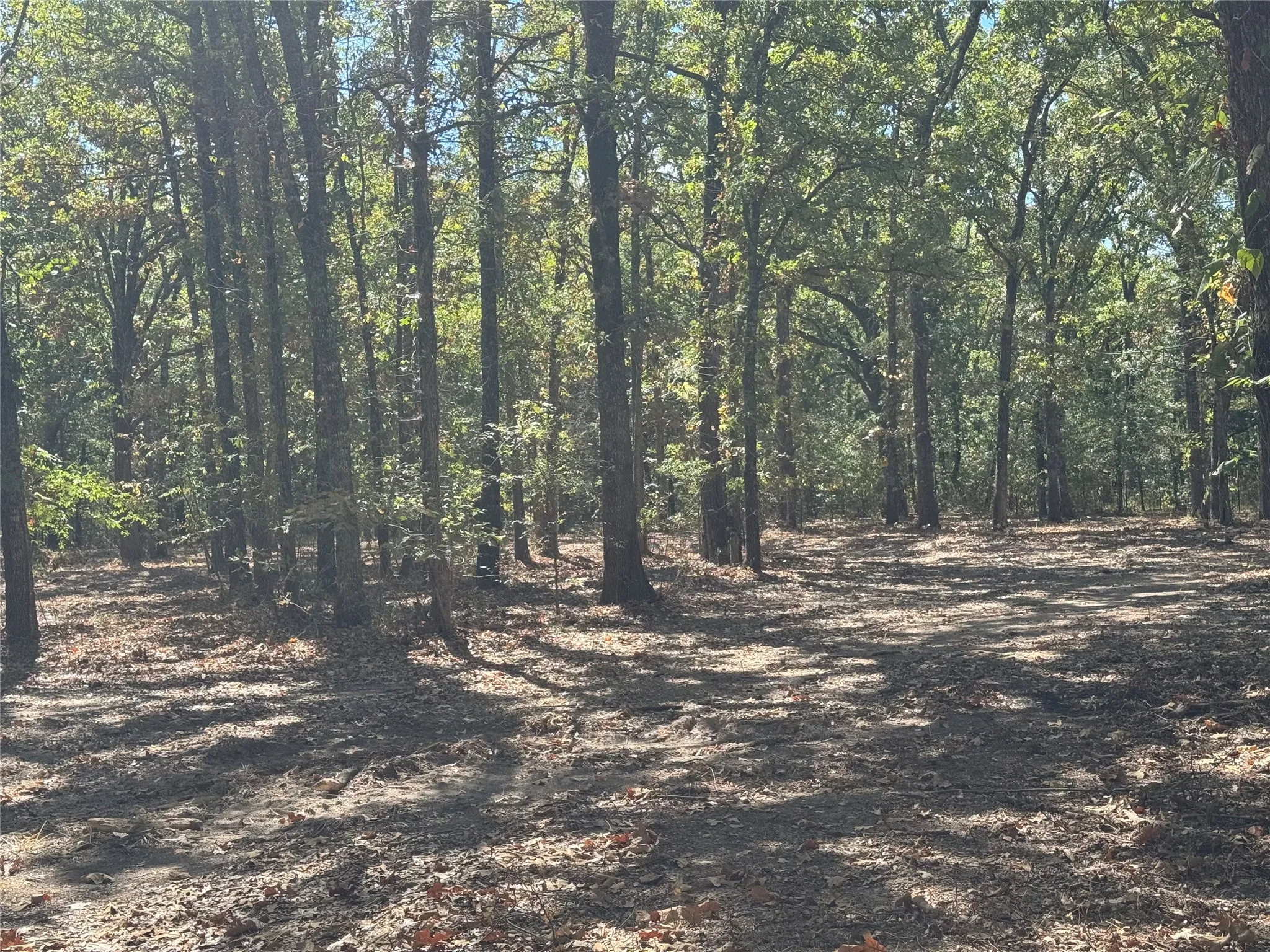 Unimproved Land For Sale in Rains County , 179 RS County Road 2572, Alba, Texas 75410, 0, 0, Garage spaces, 0 Sqft, built in 0, mls#21166482, Real Estate Agent in Alba, Homes For Sale in Rains county, Homes For Sale in Alba, Realtor in Alba Texas, Real Estate Brokerage Independent Realty Texas, Luminita Cordes Realtor