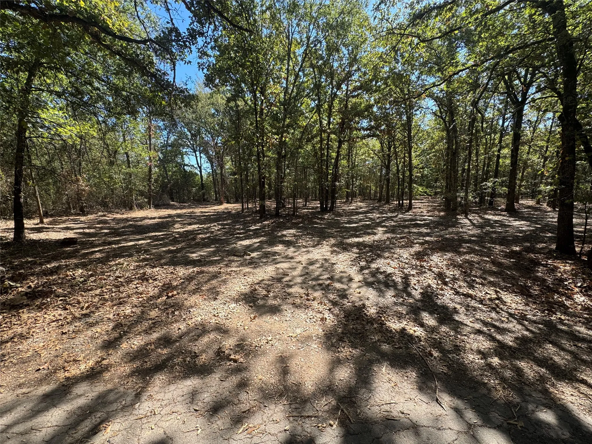 Unimproved Land For Sale in Rains County , 179 RS County Road 2572, Alba, Texas 75410, 0, 0, Garage spaces, 0 Sqft, built in 0, mls#21166482, Real Estate Agent in Alba, Homes For Sale in Rains county, Homes For Sale in Alba, Realtor in Alba Texas, Real Estate Brokerage Independent Realty Texas, Luminita Cordes Realtor