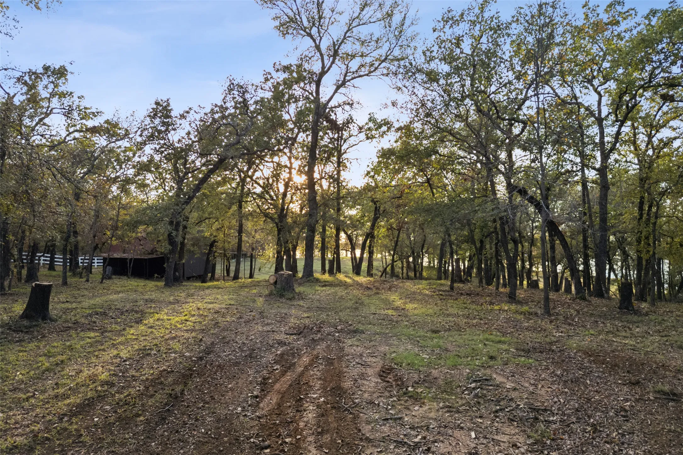Unimproved Land For Sale in Denton County , 350 W Dickson Lane, Oak Point, Texas 75068, 0, 0, Garage spaces, 0 Sqft, built in 0, Price $1,999,000, mls#21154267, Real Estate Agent in Oak Point, Homes For Sale in Denton county, Homes For Sale in Oak Point, Realtor in Oak Point Texas, Real Estate Brokerage Independent Realty Texas, Luminita Cordes Realtor