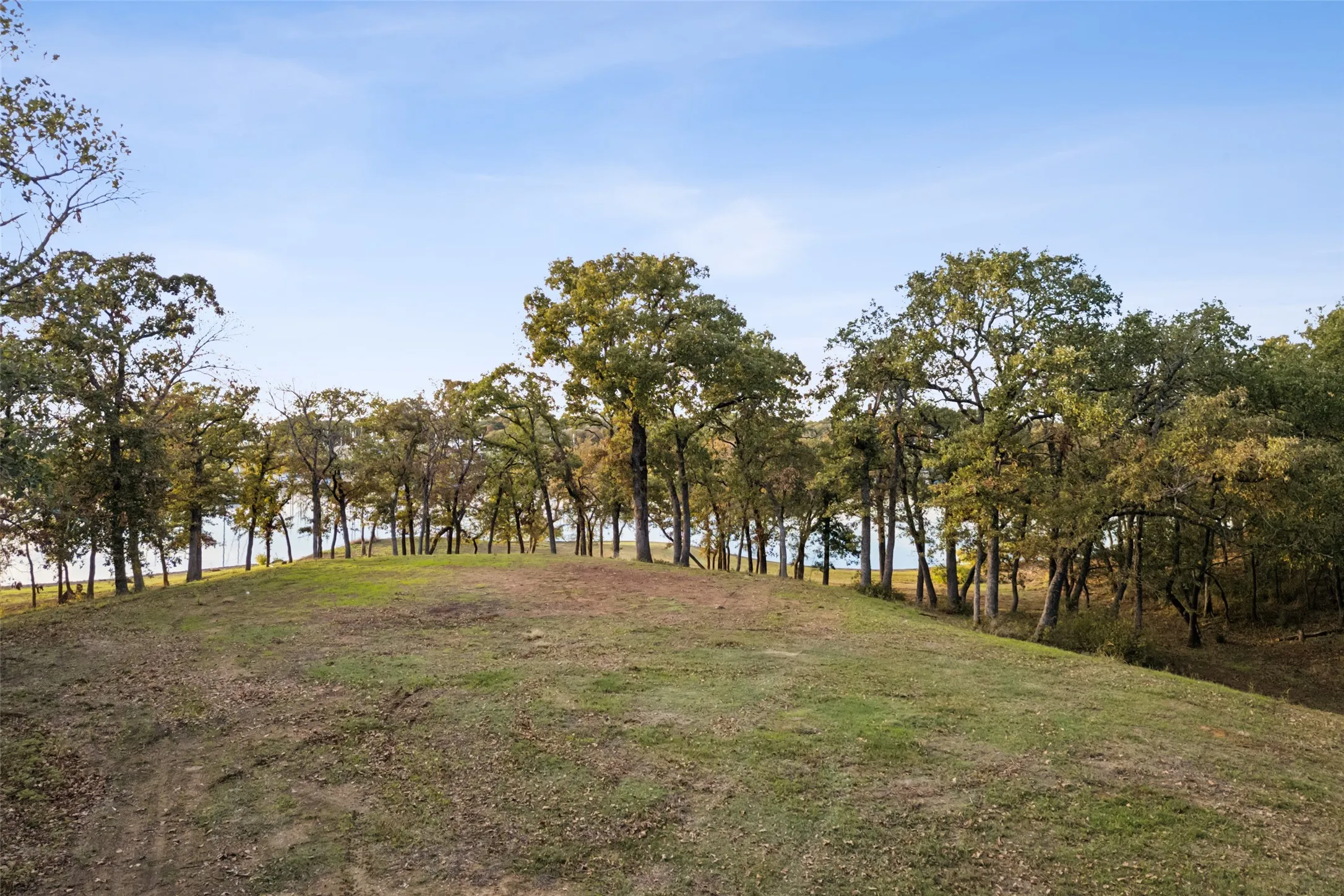 Unimproved Land For Sale in Denton County , 350 W Dickson Lane, Oak Point, Texas 75068, 0, 0, Garage spaces, 0 Sqft, built in 0, Price $1,999,000, mls#21154267, Real Estate Agent in Oak Point, Homes For Sale in Denton county, Homes For Sale in Oak Point, Realtor in Oak Point Texas, Real Estate Brokerage Independent Realty Texas, Luminita Cordes Realtor