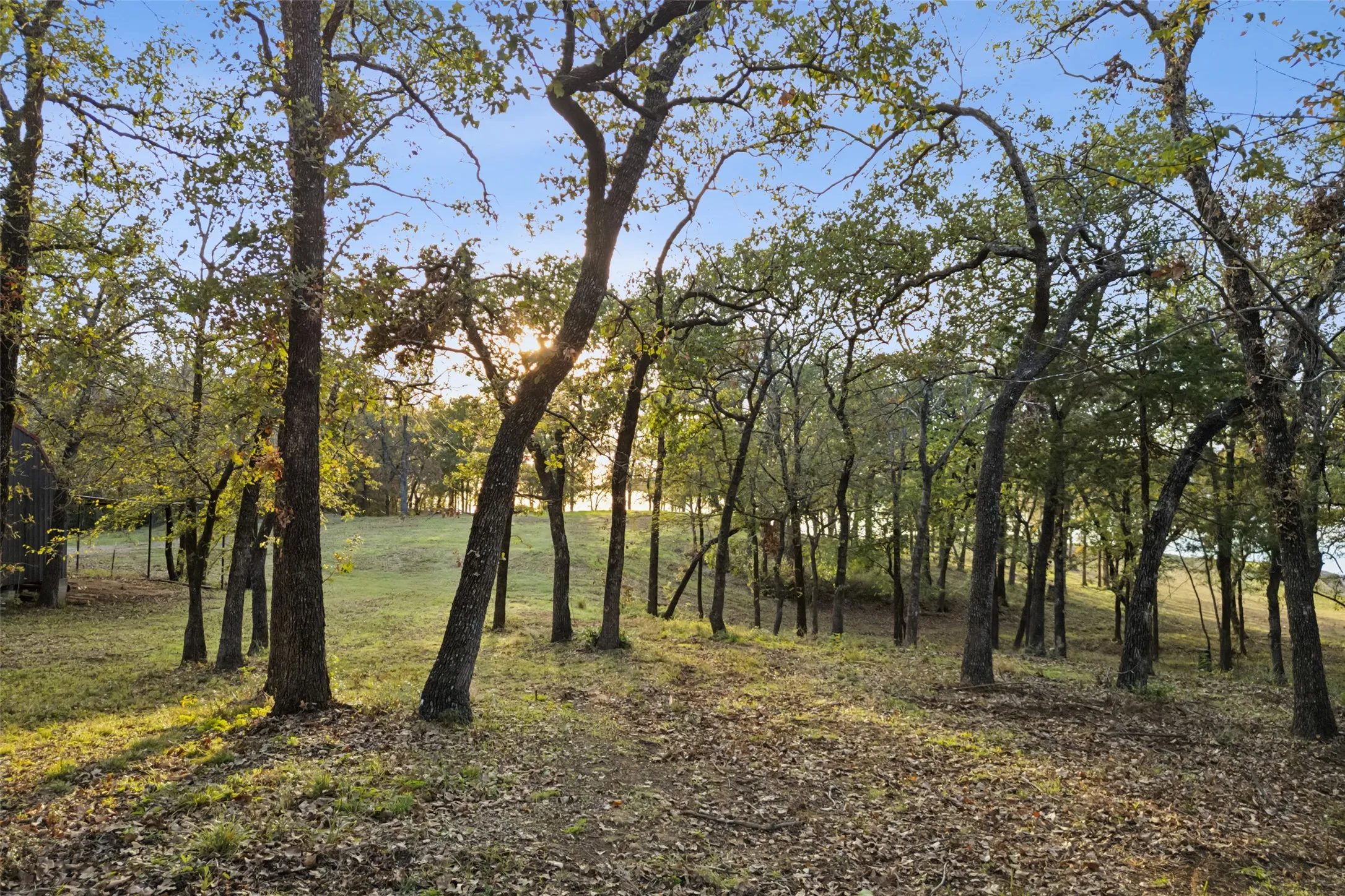 Unimproved Land For Sale in Denton County , 350 W Dickson Lane, Oak Point, Texas 75068, 0, 0, Garage spaces, 0 Sqft, built in 0, Price $1,999,000, mls#21154267, Real Estate Agent in Oak Point, Homes For Sale in Denton county, Homes For Sale in Oak Point, Realtor in Oak Point Texas, Real Estate Brokerage Independent Realty Texas, Luminita Cordes Realtor