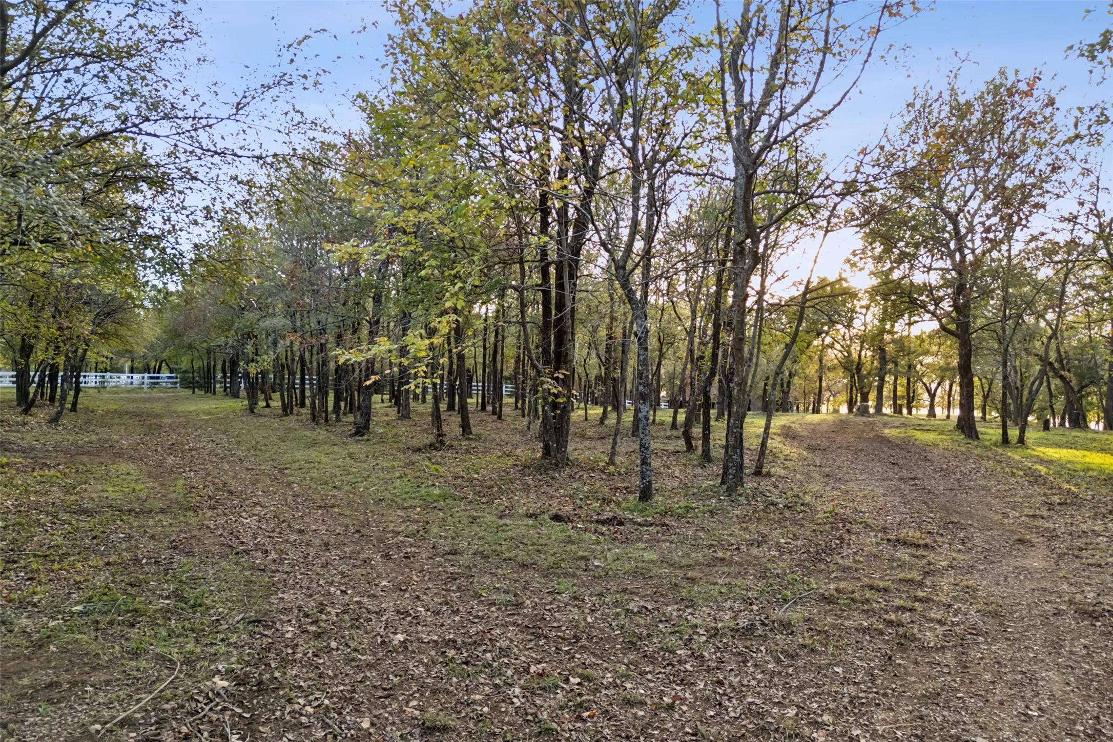 Unimproved Land For Sale in Denton County , 350 W Dickson Lane, Oak Point, Texas 75068, 0, 0, Garage spaces, 0 Sqft, built in 0, Price $1,999,000, mls#21154267, Real Estate Agent in Oak Point, Homes For Sale in Denton county, Homes For Sale in Oak Point, Realtor in Oak Point Texas, Real Estate Brokerage Independent Realty Texas, Luminita Cordes Realtor