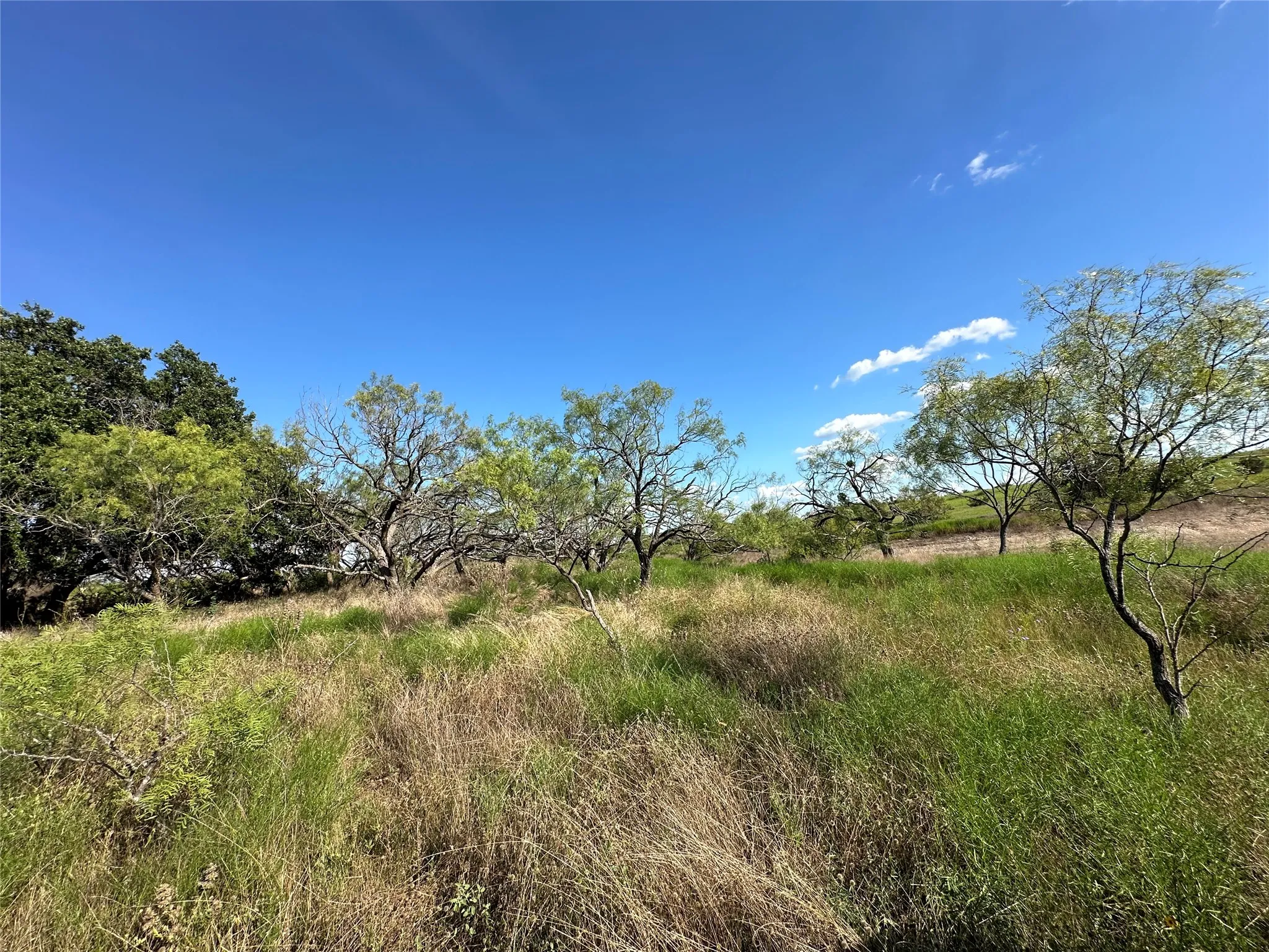 Ranch For Sale in Hamilton County , TBD2 CR 614, Hamilton, Texas 76531, 0, 0, Garage spaces, 0 Sqft, built in 0, Price $540,216, mls#21166633, Real Estate Agent in Hamilton, Homes For Sale in Hamilton county, Homes For Sale in Hamilton, Realtor in Hamilton Texas, Real Estate Brokerage Independent Realty Texas, Luminita Cordes Realtor