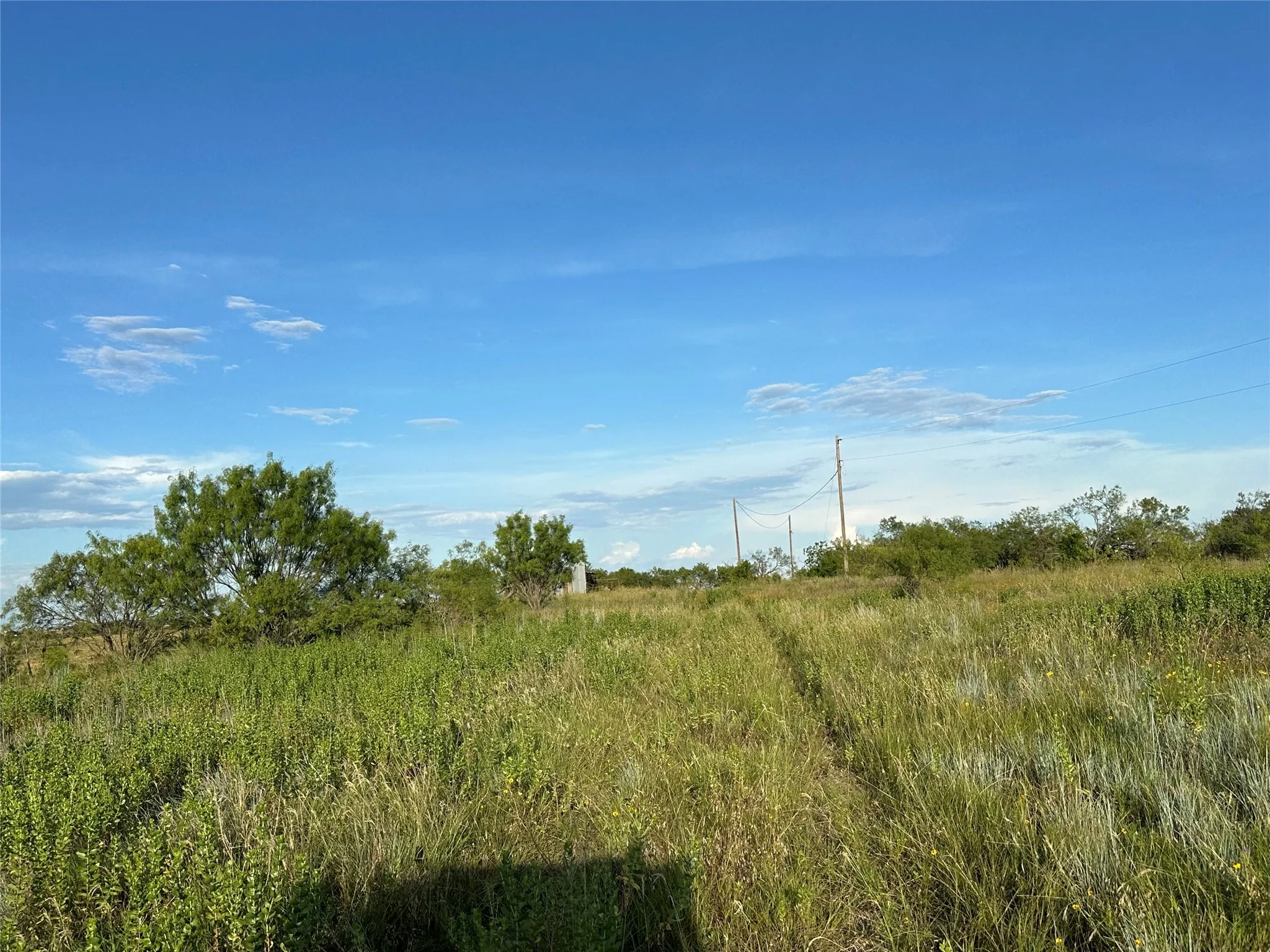 Ranch For Sale in Hamilton County , TBD2 CR 614, Hamilton, Texas 76531, 0, 0, Garage spaces, 0 Sqft, built in 0, Price $540,216, mls#21166633, Real Estate Agent in Hamilton, Homes For Sale in Hamilton county, Homes For Sale in Hamilton, Realtor in Hamilton Texas, Real Estate Brokerage Independent Realty Texas, Luminita Cordes Realtor