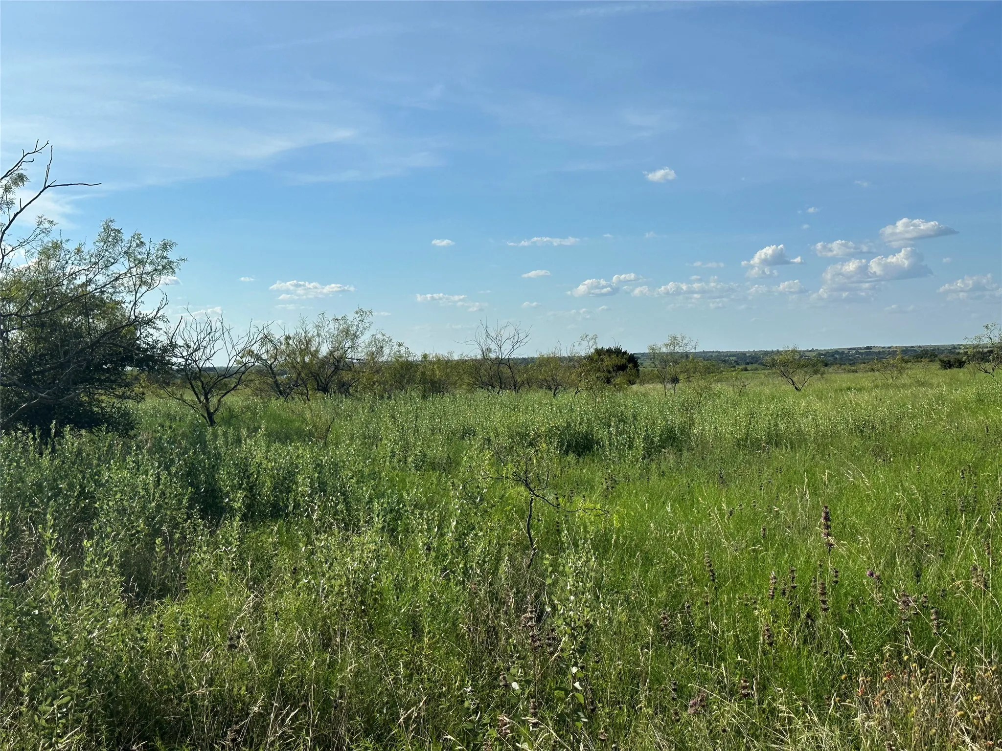 Ranch For Sale in Hamilton County , TBD2 CR 614, Hamilton, Texas 76531, 0, 0, Garage spaces, 0 Sqft, built in 0, Price $540,216, mls#21166633, Real Estate Agent in Hamilton, Homes For Sale in Hamilton county, Homes For Sale in Hamilton, Realtor in Hamilton Texas, Real Estate Brokerage Independent Realty Texas, Luminita Cordes Realtor