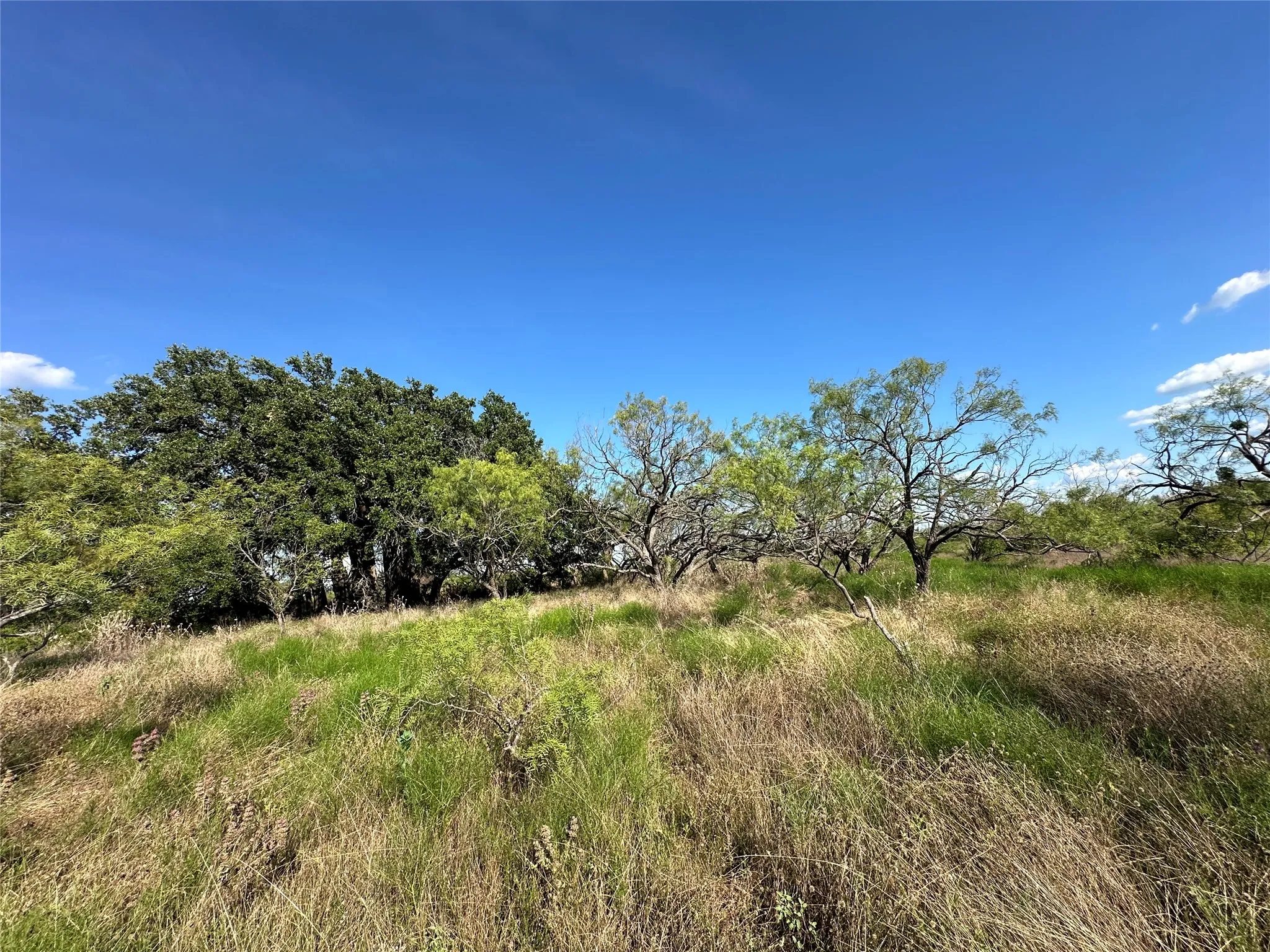 Ranch For Sale in Hamilton County , TBD2 CR 614, Hamilton, Texas 76531, 0, 0, Garage spaces, 0 Sqft, built in 0, Price $540,216, mls#21166633, Real Estate Agent in Hamilton, Homes For Sale in Hamilton county, Homes For Sale in Hamilton, Realtor in Hamilton Texas, Real Estate Brokerage Independent Realty Texas, Luminita Cordes Realtor