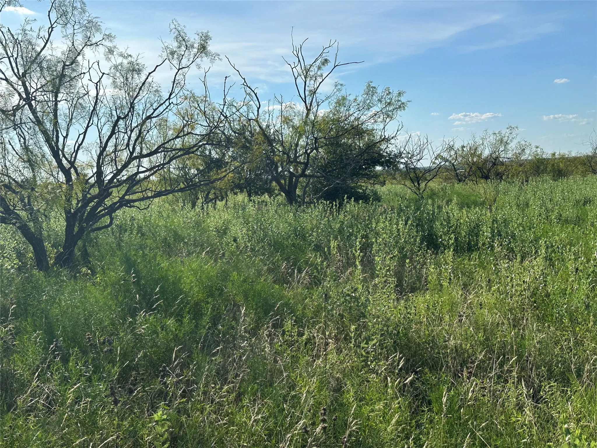 Ranch For Sale in Hamilton County , TBD2 CR 614, Hamilton, Texas 76531, 0, 0, Garage spaces, 0 Sqft, built in 0, Price $540,216, mls#21166633, Real Estate Agent in Hamilton, Homes For Sale in Hamilton county, Homes For Sale in Hamilton, Realtor in Hamilton Texas, Real Estate Brokerage Independent Realty Texas, Luminita Cordes Realtor