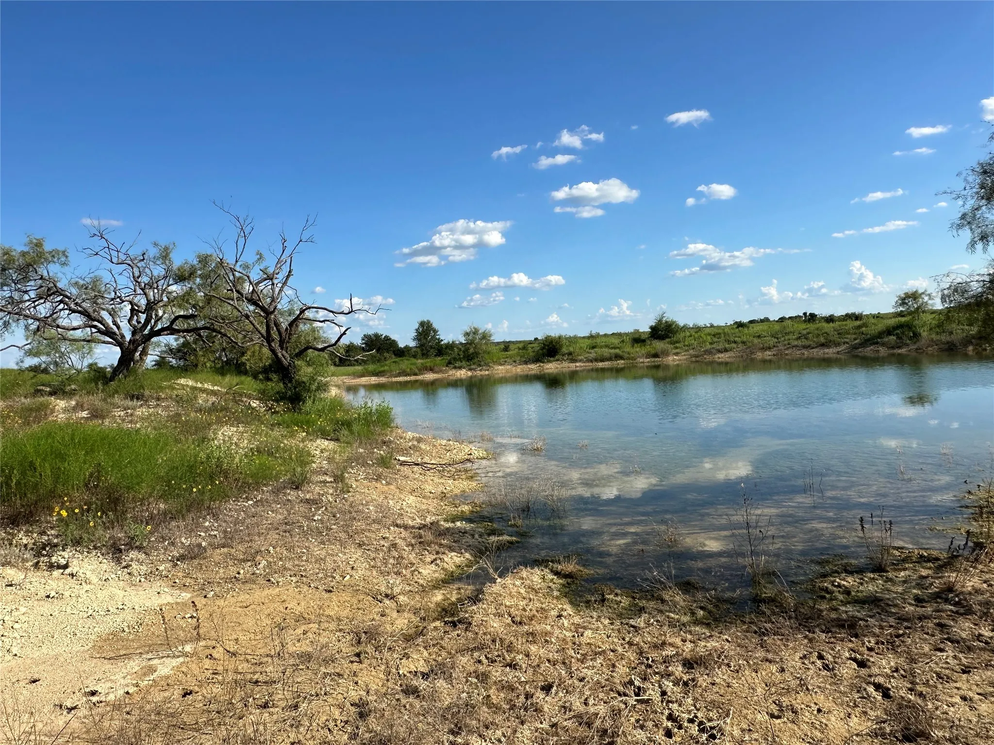 Ranch For Sale in Hamilton County , TBD2 CR 614, Hamilton, Texas 76531, 0, 0, Garage spaces, 0 Sqft, built in 0, Price $540,216, mls#21166633, Real Estate Agent in Hamilton, Homes For Sale in Hamilton county, Homes For Sale in Hamilton, Realtor in Hamilton Texas, Real Estate Brokerage Independent Realty Texas, Luminita Cordes Realtor
