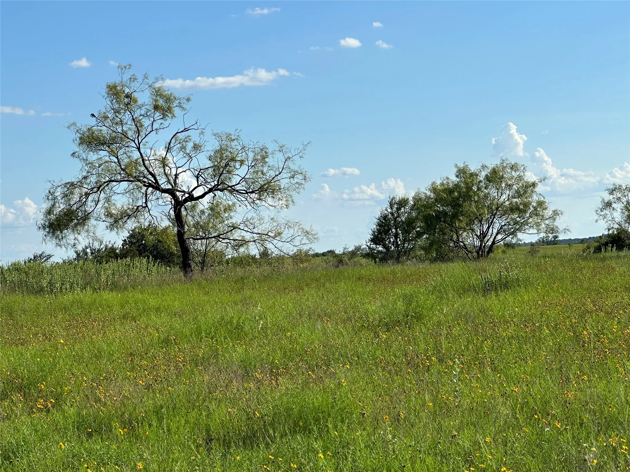 Ranch For Sale in Hamilton County , TBD2 CR 614, Hamilton, Texas 76531, 0, 0, Garage spaces, 0 Sqft, built in 0, Price $540,216, mls#21166633, Real Estate Agent in Hamilton, Homes For Sale in Hamilton county, Homes For Sale in Hamilton, Realtor in Hamilton Texas, Real Estate Brokerage Independent Realty Texas, Luminita Cordes Realtor