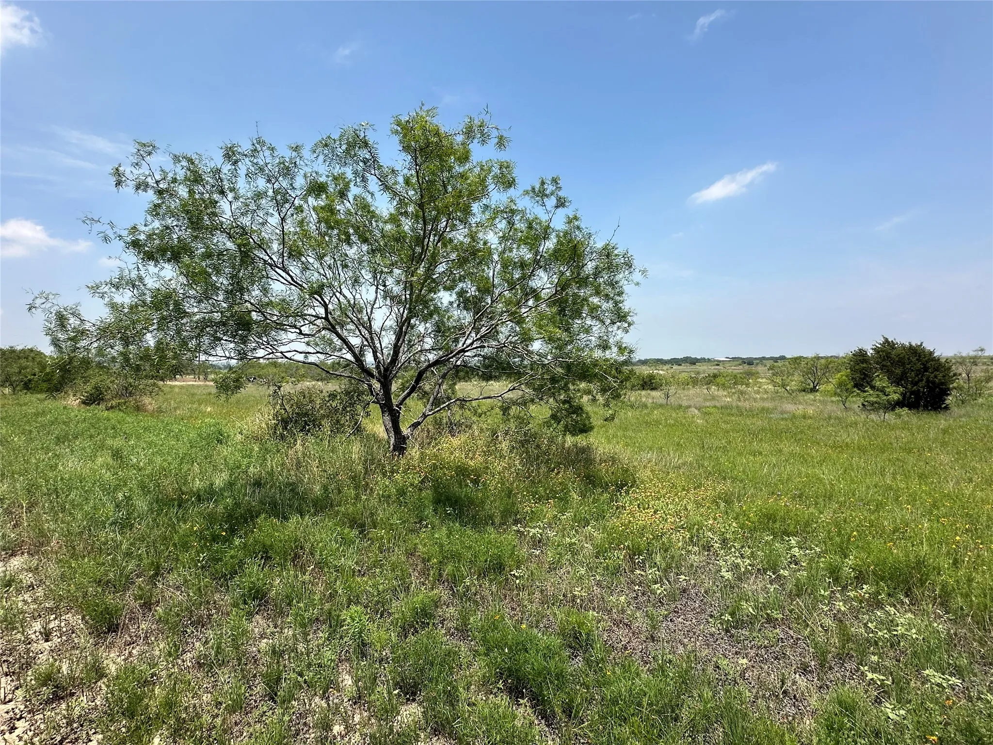 Ranch For Sale in Hamilton County , TBD2 CR 614, Hamilton, Texas 76531, 0, 0, Garage spaces, 0 Sqft, built in 0, Price $540,216, mls#21166633, Real Estate Agent in Hamilton, Homes For Sale in Hamilton county, Homes For Sale in Hamilton, Realtor in Hamilton Texas, Real Estate Brokerage Independent Realty Texas, Luminita Cordes Realtor
