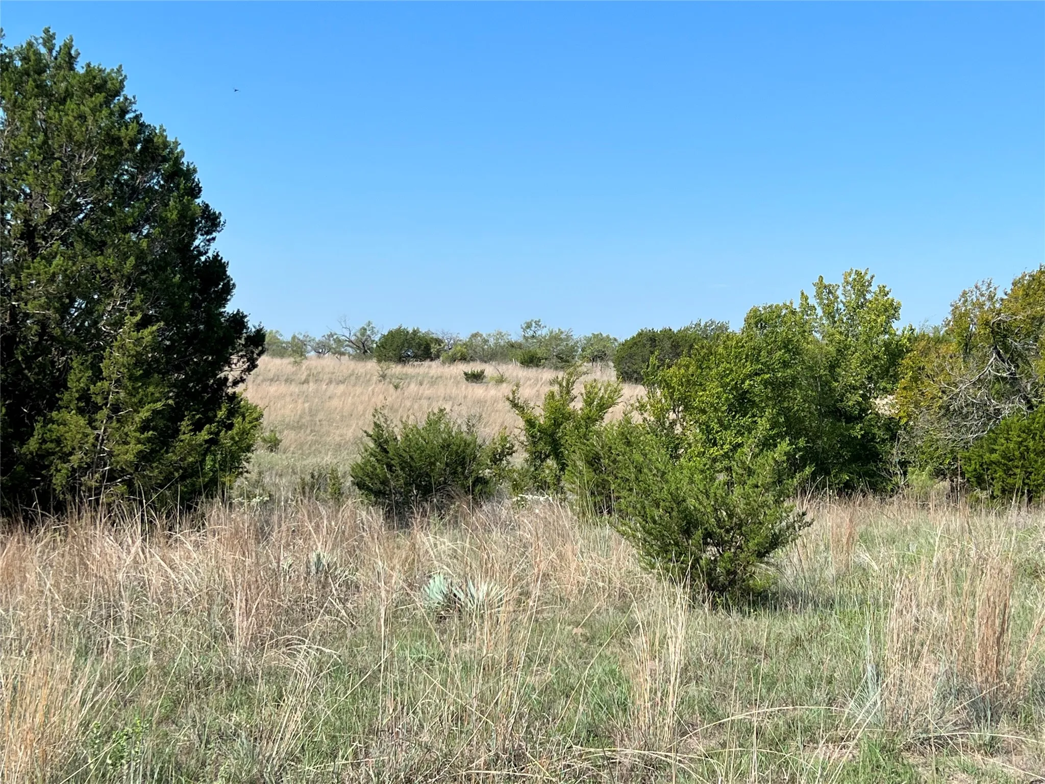 Ranch For Sale in Hamilton County , TBD FM 2005, Hamilton, Texas 76531, 0, 0, Garage spaces, 0 Sqft, built in 0, Price $158,125, mls#21166661, Real Estate Agent in Hamilton, Homes For Sale in Hamilton county, Homes For Sale in Hamilton, Realtor in Hamilton Texas, Real Estate Brokerage Independent Realty Texas, Luminita Cordes Realtor