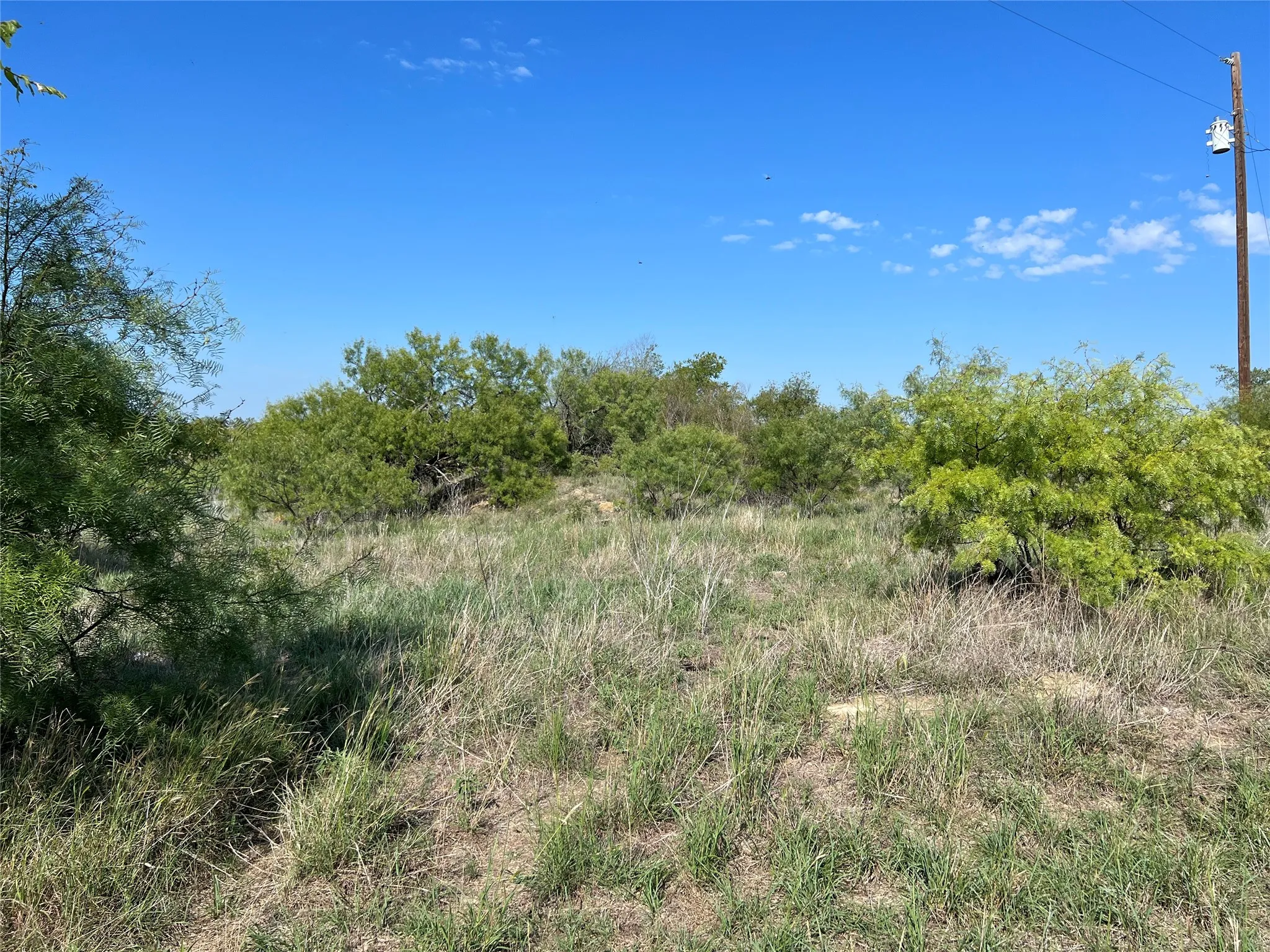 Ranch For Sale in Hamilton County , TBD FM 2005, Hamilton, Texas 76531, 0, 0, Garage spaces, 0 Sqft, built in 0, Price $158,125, mls#21166661, Real Estate Agent in Hamilton, Homes For Sale in Hamilton county, Homes For Sale in Hamilton, Realtor in Hamilton Texas, Real Estate Brokerage Independent Realty Texas, Luminita Cordes Realtor
