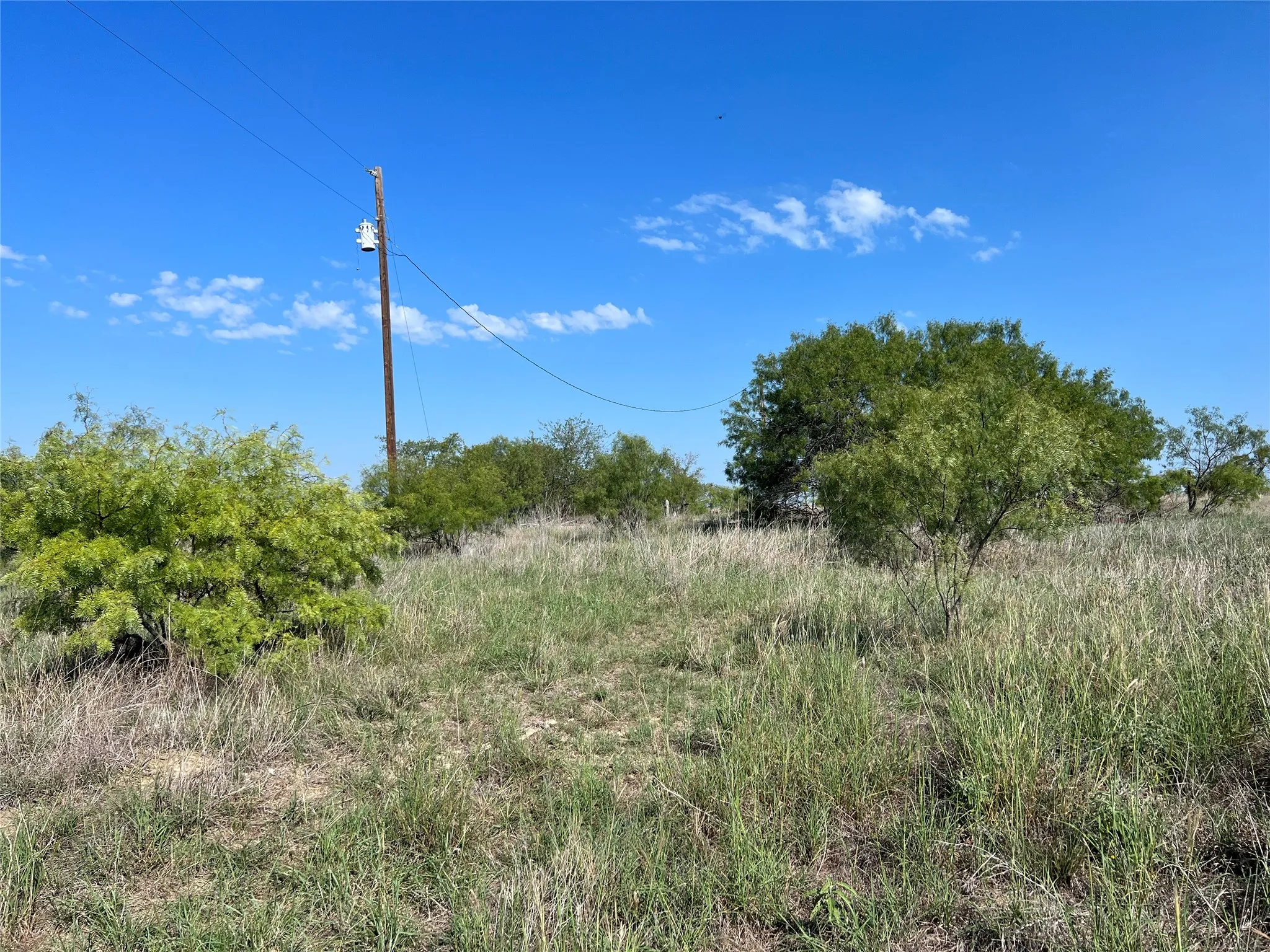 Ranch For Sale in Hamilton County , TBD FM 2005, Hamilton, Texas 76531, 0, 0, Garage spaces, 0 Sqft, built in 0, Price $158,125, mls#21166661, Real Estate Agent in Hamilton, Homes For Sale in Hamilton county, Homes For Sale in Hamilton, Realtor in Hamilton Texas, Real Estate Brokerage Independent Realty Texas, Luminita Cordes Realtor