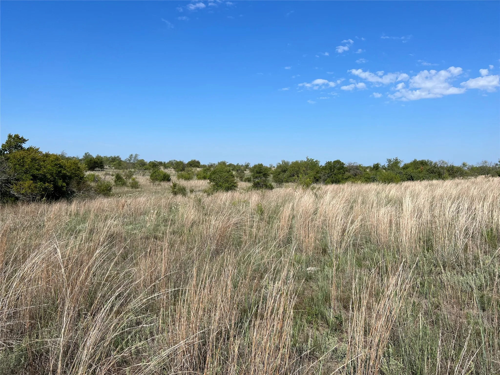 Ranch For Sale in Hamilton County , TBD FM 2005, Hamilton, Texas 76531, 0, 0, Garage spaces, 0 Sqft, built in 0, Price $158,125, mls#21166661, Real Estate Agent in Hamilton, Homes For Sale in Hamilton county, Homes For Sale in Hamilton, Realtor in Hamilton Texas, Real Estate Brokerage Independent Realty Texas, Luminita Cordes Realtor