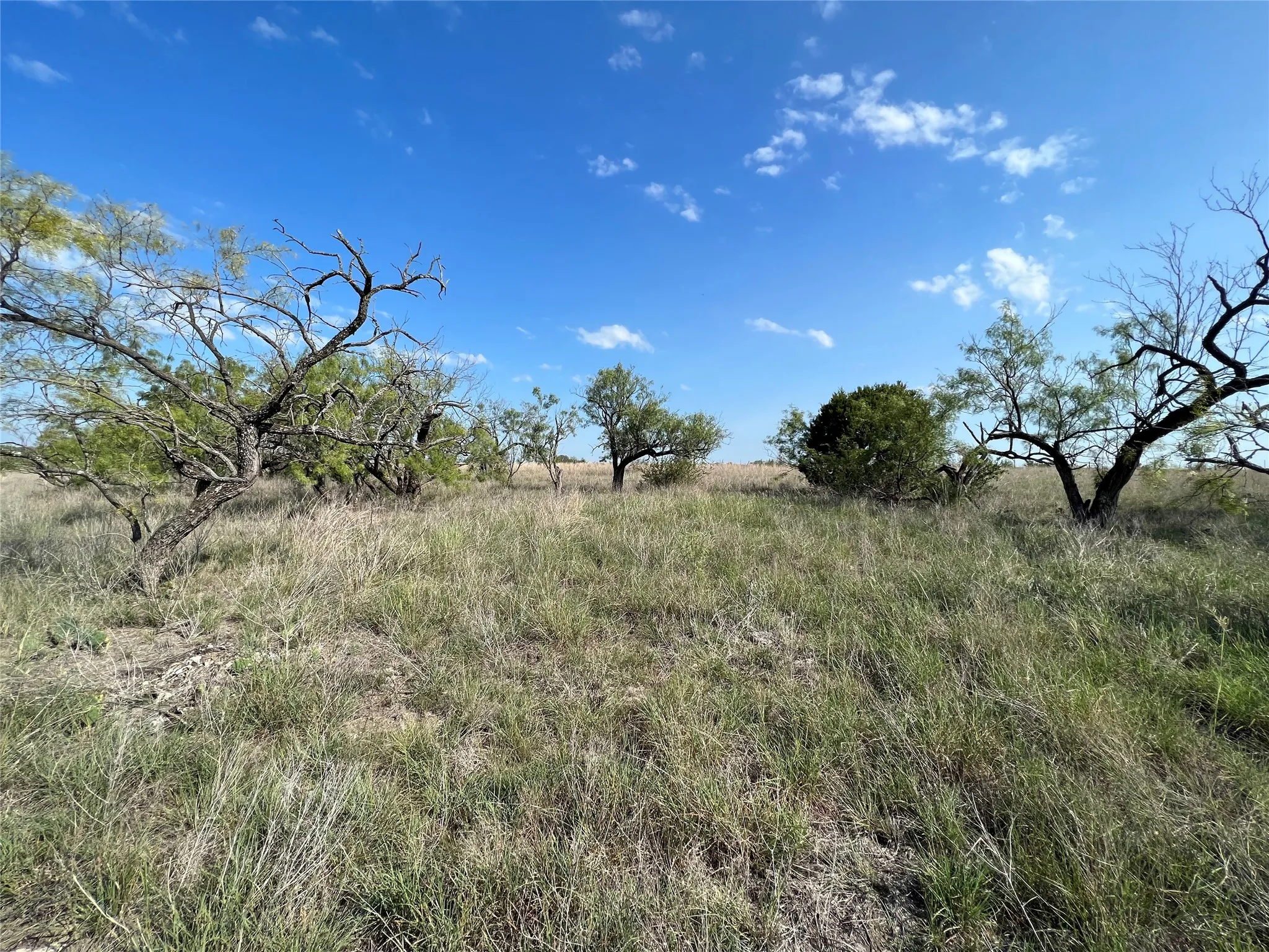 Ranch For Sale in Hamilton County , TBD FM 2005, Hamilton, Texas 76531, 0, 0, Garage spaces, 0 Sqft, built in 0, Price $158,125, mls#21166661, Real Estate Agent in Hamilton, Homes For Sale in Hamilton county, Homes For Sale in Hamilton, Realtor in Hamilton Texas, Real Estate Brokerage Independent Realty Texas, Luminita Cordes Realtor
