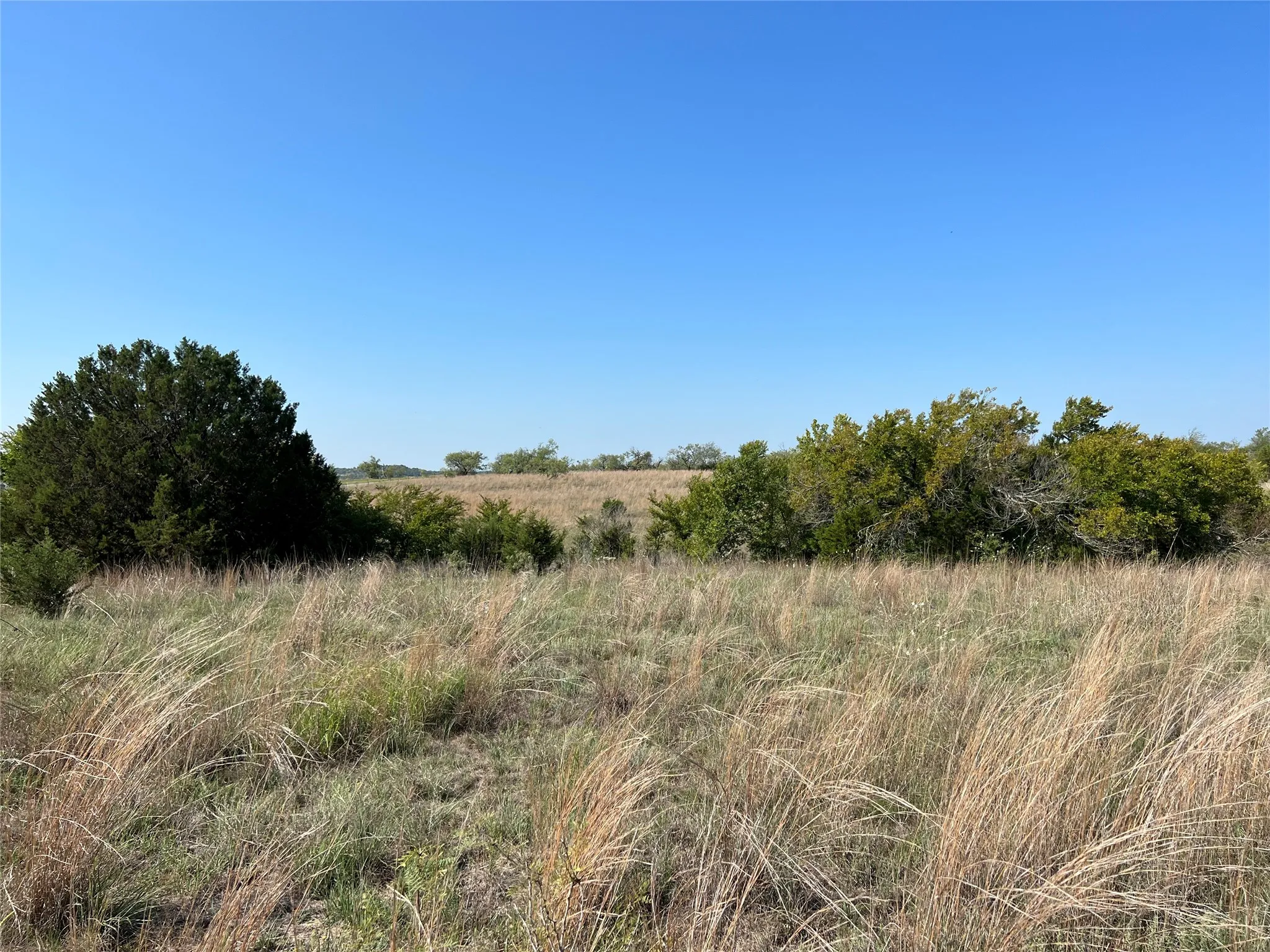 Ranch For Sale in Hamilton County , TBD FM 2005, Hamilton, Texas 76531, 0, 0, Garage spaces, 0 Sqft, built in 0, Price $158,125, mls#21166661, Real Estate Agent in Hamilton, Homes For Sale in Hamilton county, Homes For Sale in Hamilton, Realtor in Hamilton Texas, Real Estate Brokerage Independent Realty Texas, Luminita Cordes Realtor