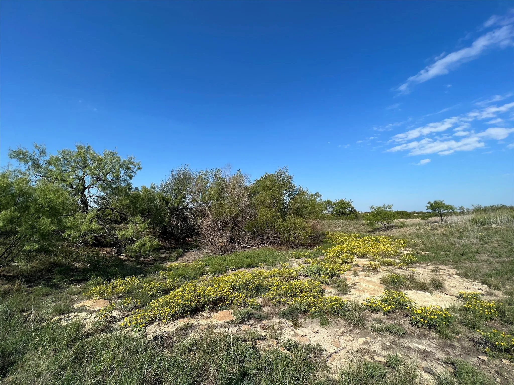 Ranch For Sale in Hamilton County , TBD FM 2005, Hamilton, Texas 76531, 0, 0, Garage spaces, 0 Sqft, built in 0, Price $158,125, mls#21166661, Real Estate Agent in Hamilton, Homes For Sale in Hamilton county, Homes For Sale in Hamilton, Realtor in Hamilton Texas, Real Estate Brokerage Independent Realty Texas, Luminita Cordes Realtor