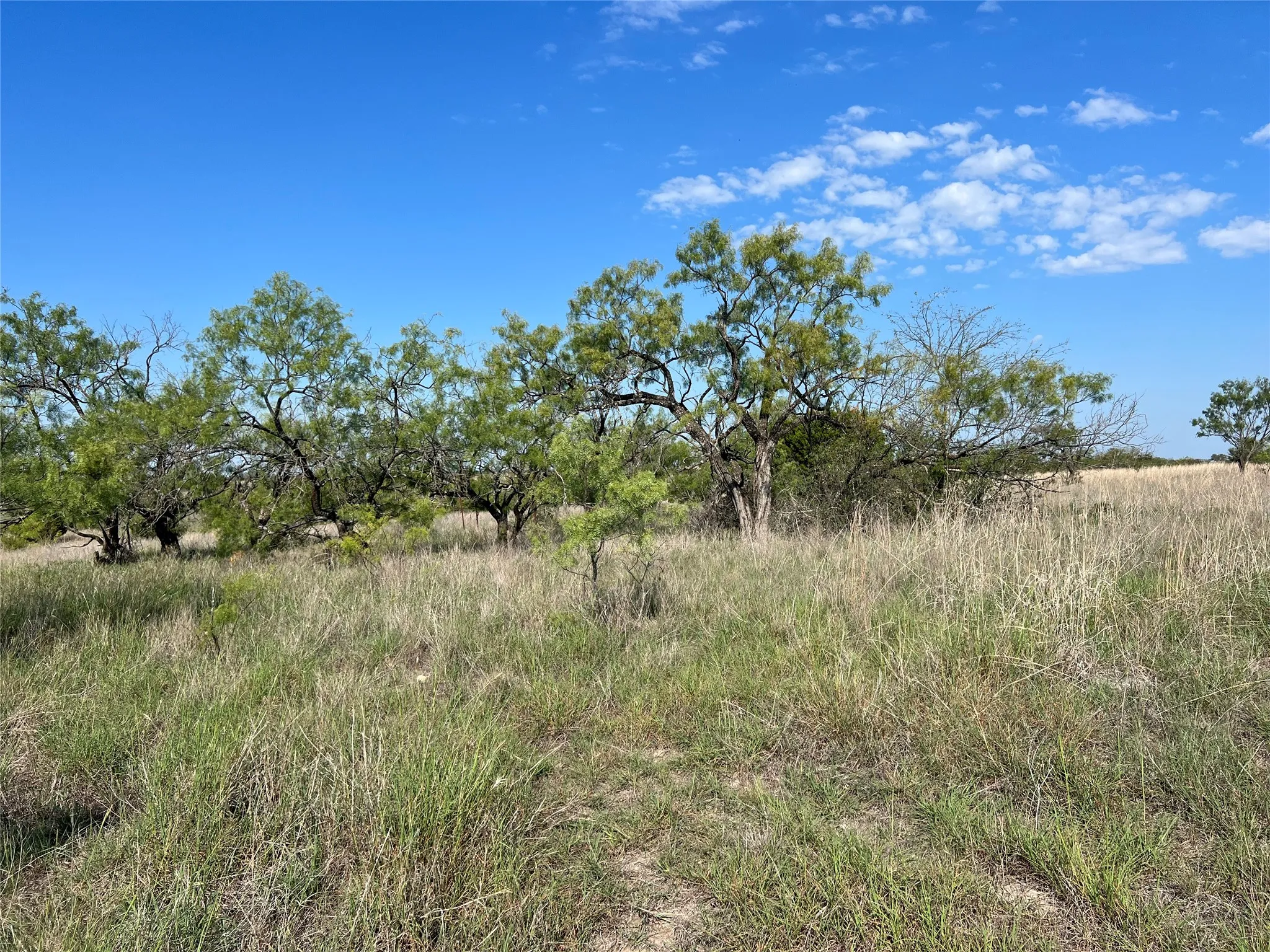 Ranch For Sale in Hamilton County , TBD FM 2005, Hamilton, Texas 76531, 0, 0, Garage spaces, 0 Sqft, built in 0, Price $158,125, mls#21166661, Real Estate Agent in Hamilton, Homes For Sale in Hamilton county, Homes For Sale in Hamilton, Realtor in Hamilton Texas, Real Estate Brokerage Independent Realty Texas, Luminita Cordes Realtor