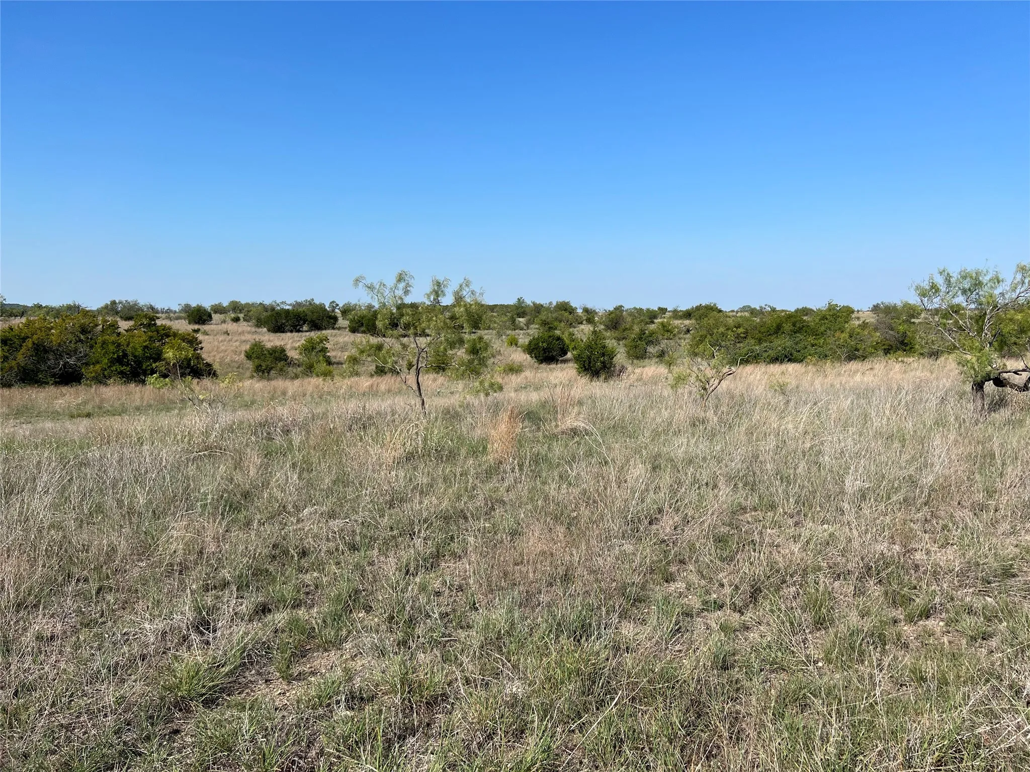 Ranch For Sale in Hamilton County , TBD FM 2005, Hamilton, Texas 76531, 0, 0, Garage spaces, 0 Sqft, built in 0, Price $158,125, mls#21166661, Real Estate Agent in Hamilton, Homes For Sale in Hamilton county, Homes For Sale in Hamilton, Realtor in Hamilton Texas, Real Estate Brokerage Independent Realty Texas, Luminita Cordes Realtor