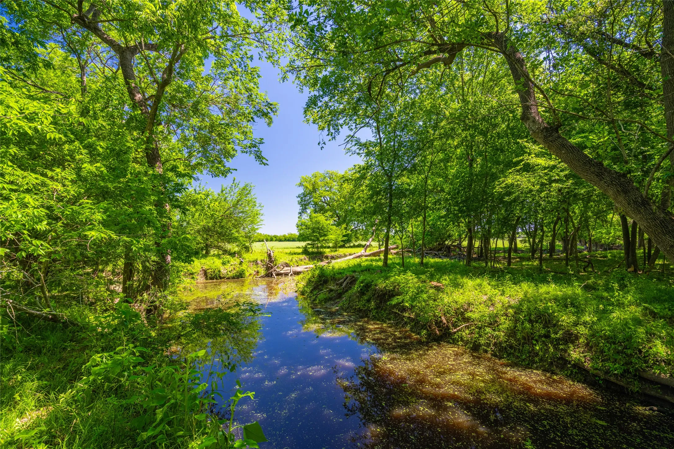 Ranch For Sale in Limestone County , 0 LCR 412, Groesbeck, Texas 76642, 0, 0, Garage spaces, 0 Sqft, built in 0, Price $1,887,000, mls#21166794, Real Estate Agent in Groesbeck, Homes For Sale in Limestone county, Homes For Sale in Groesbeck, Realtor in Groesbeck Texas, Real Estate Brokerage Independent Realty Texas, Luminita Cordes Realtor