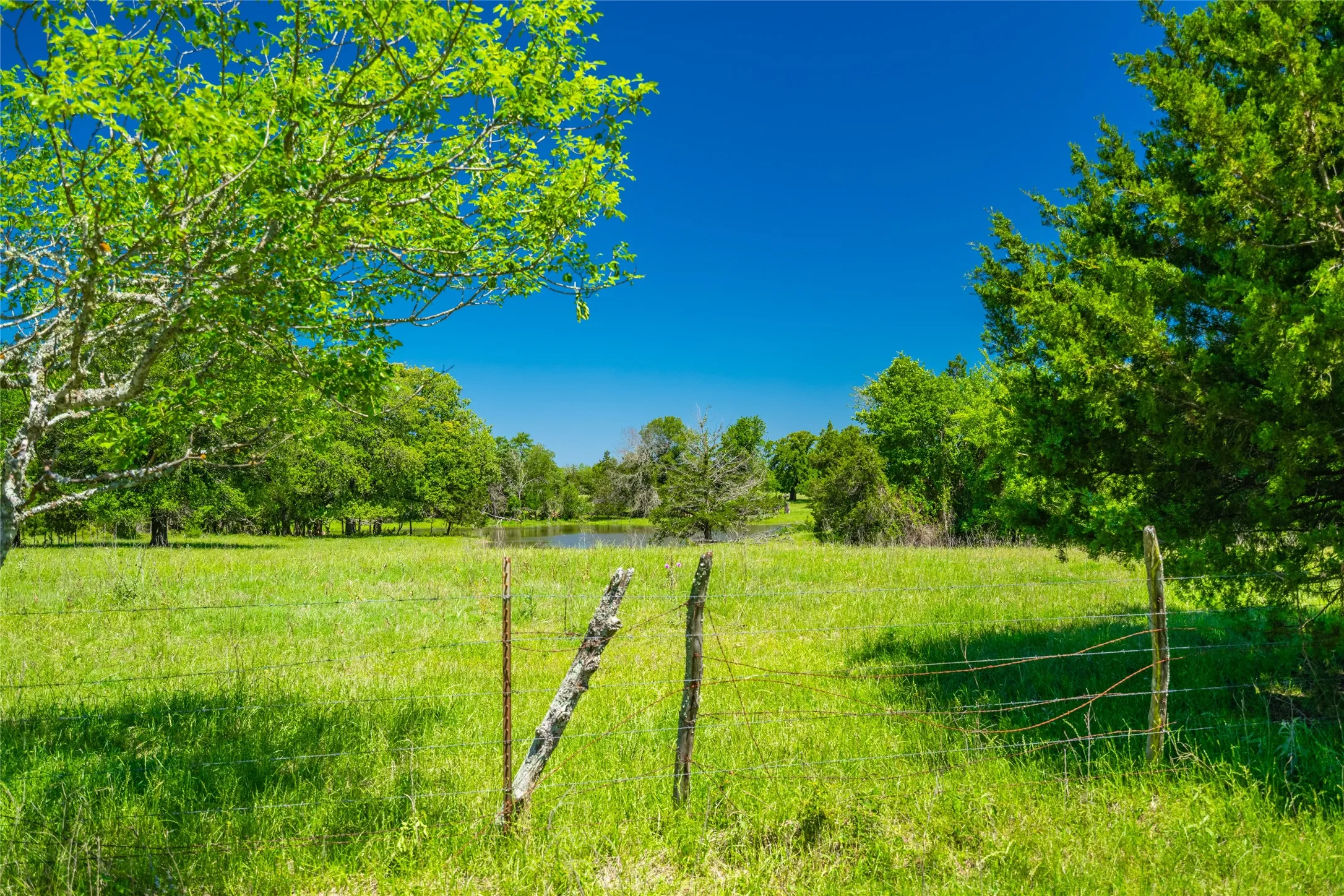 Ranch For Sale in Limestone County , 0 LCR 412, Groesbeck, Texas 76642, 0, 0, Garage spaces, 0 Sqft, built in 0, Price $1,887,000, mls#21166794, Real Estate Agent in Groesbeck, Homes For Sale in Limestone county, Homes For Sale in Groesbeck, Realtor in Groesbeck Texas, Real Estate Brokerage Independent Realty Texas, Luminita Cordes Realtor