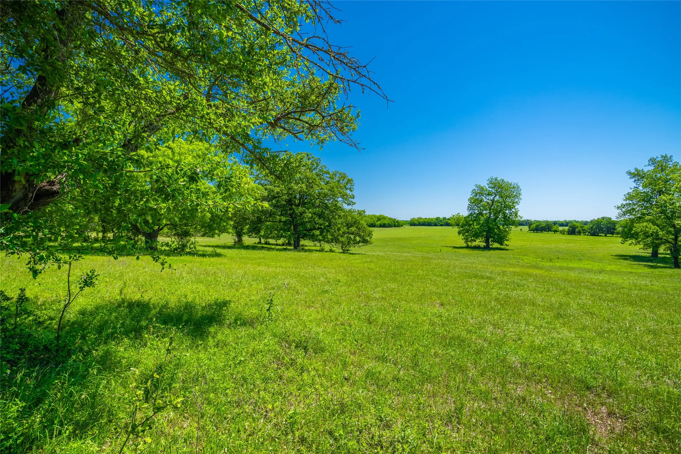 Ranch For Sale in Limestone County , 0 LCR 412, Groesbeck, Texas 76642, 0, 0, Garage spaces, 0 Sqft, built in 0, Price $1,887,000, mls#21166794, Real Estate Agent in Groesbeck, Homes For Sale in Limestone county, Homes For Sale in Groesbeck, Realtor in Groesbeck Texas, Real Estate Brokerage Independent Realty Texas, Luminita Cordes Realtor