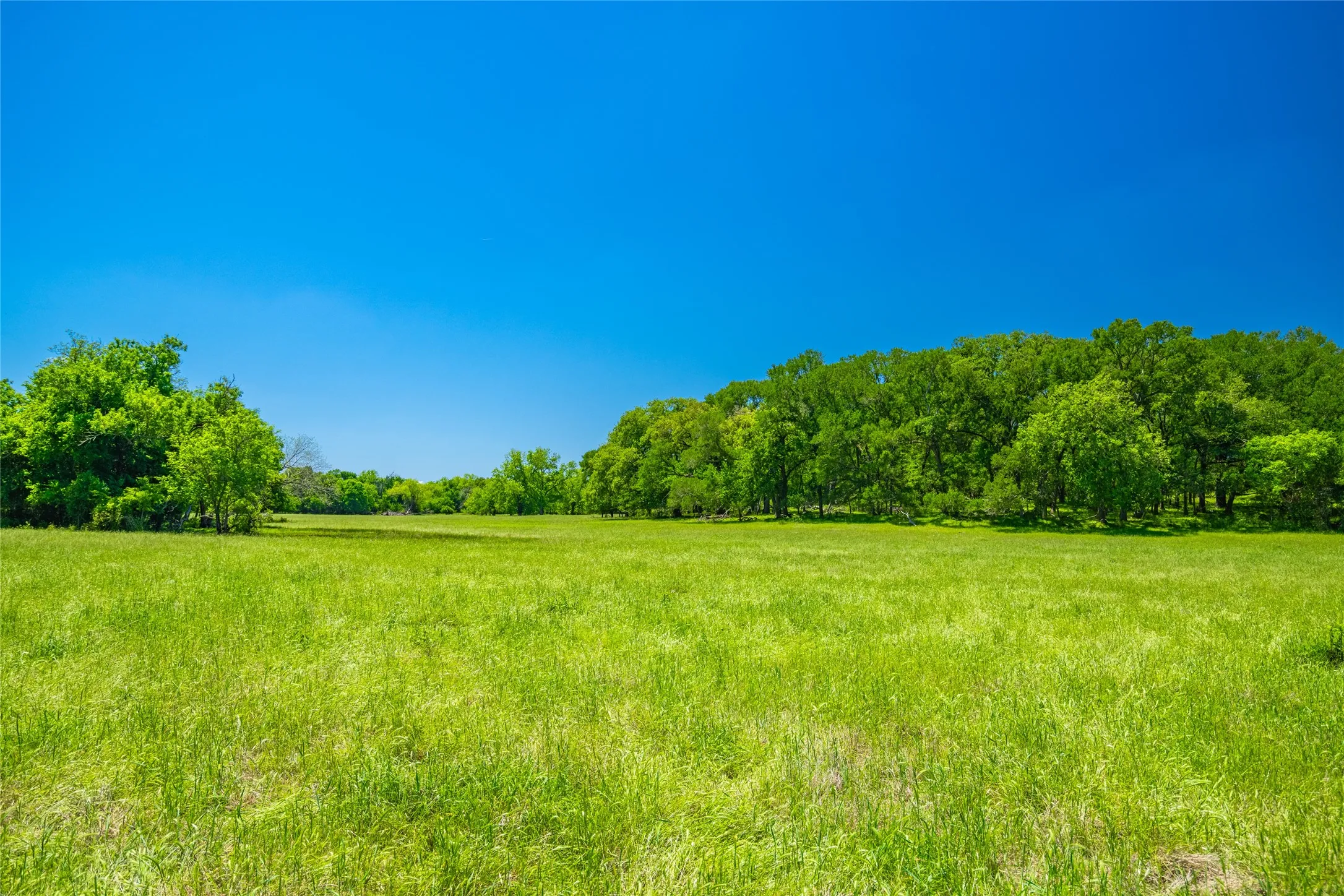 Ranch For Sale in Limestone County , 0 LCR 412, Groesbeck, Texas 76642, 0, 0, Garage spaces, 0 Sqft, built in 0, Price $1,887,000, mls#21166794, Real Estate Agent in Groesbeck, Homes For Sale in Limestone county, Homes For Sale in Groesbeck, Realtor in Groesbeck Texas, Real Estate Brokerage Independent Realty Texas, Luminita Cordes Realtor