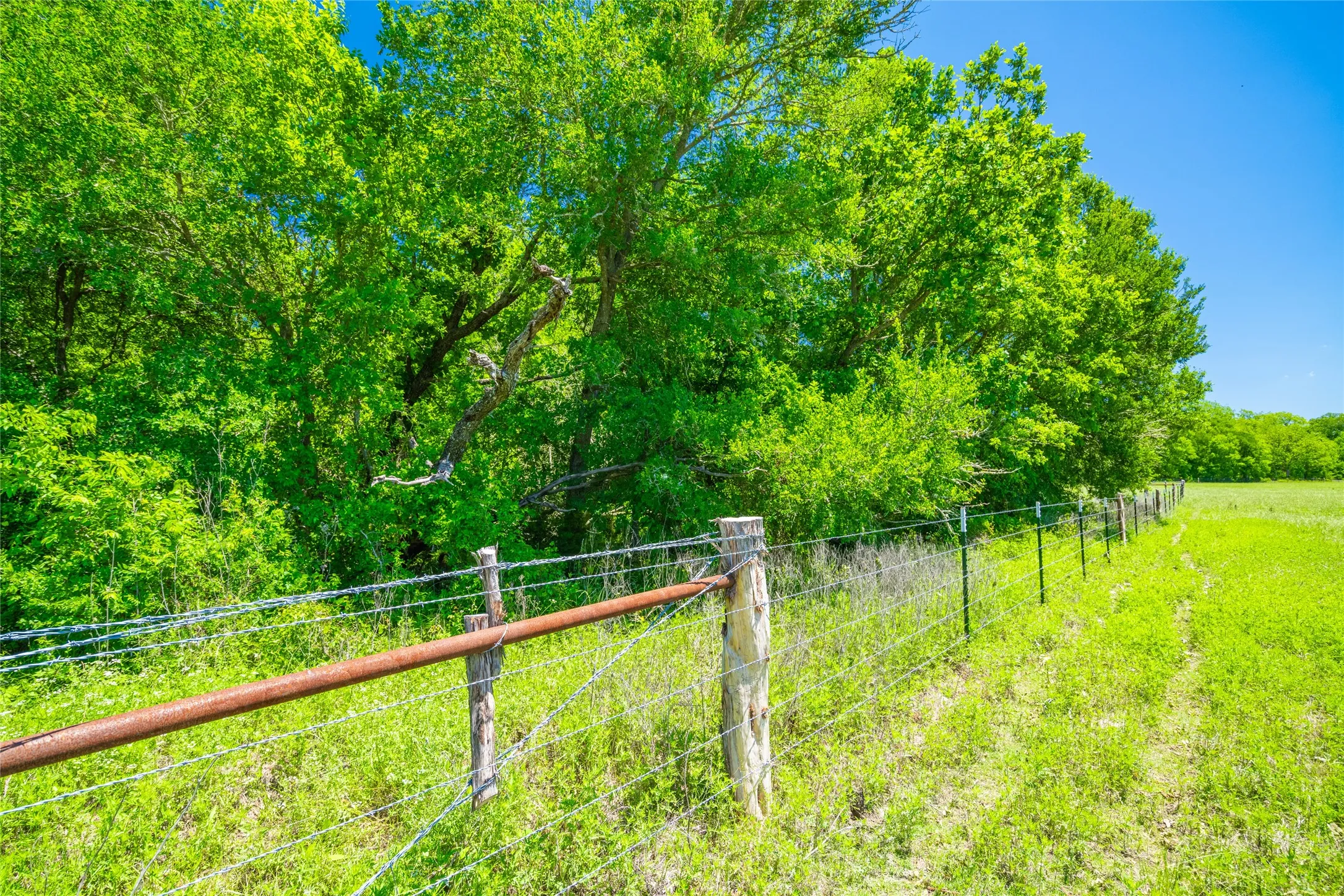 Ranch For Sale in Limestone County , 0 LCR 412, Groesbeck, Texas 76642, 0, 0, Garage spaces, 0 Sqft, built in 0, Price $1,887,000, mls#21166794, Real Estate Agent in Groesbeck, Homes For Sale in Limestone county, Homes For Sale in Groesbeck, Realtor in Groesbeck Texas, Real Estate Brokerage Independent Realty Texas, Luminita Cordes Realtor