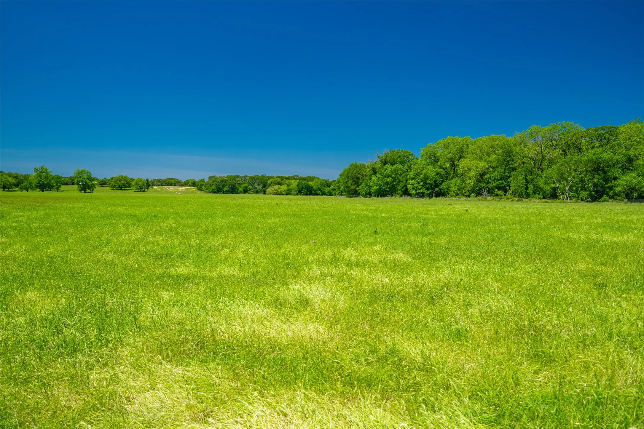 Ranch For Sale in Limestone County , 0 LCR 412, Groesbeck, Texas 76642, 0, 0, Garage spaces, 0 Sqft, built in 0, Price $1,887,000, mls#21166794, Real Estate Agent in Groesbeck, Homes For Sale in Limestone county, Homes For Sale in Groesbeck, Realtor in Groesbeck Texas, Real Estate Brokerage Independent Realty Texas, Luminita Cordes Realtor