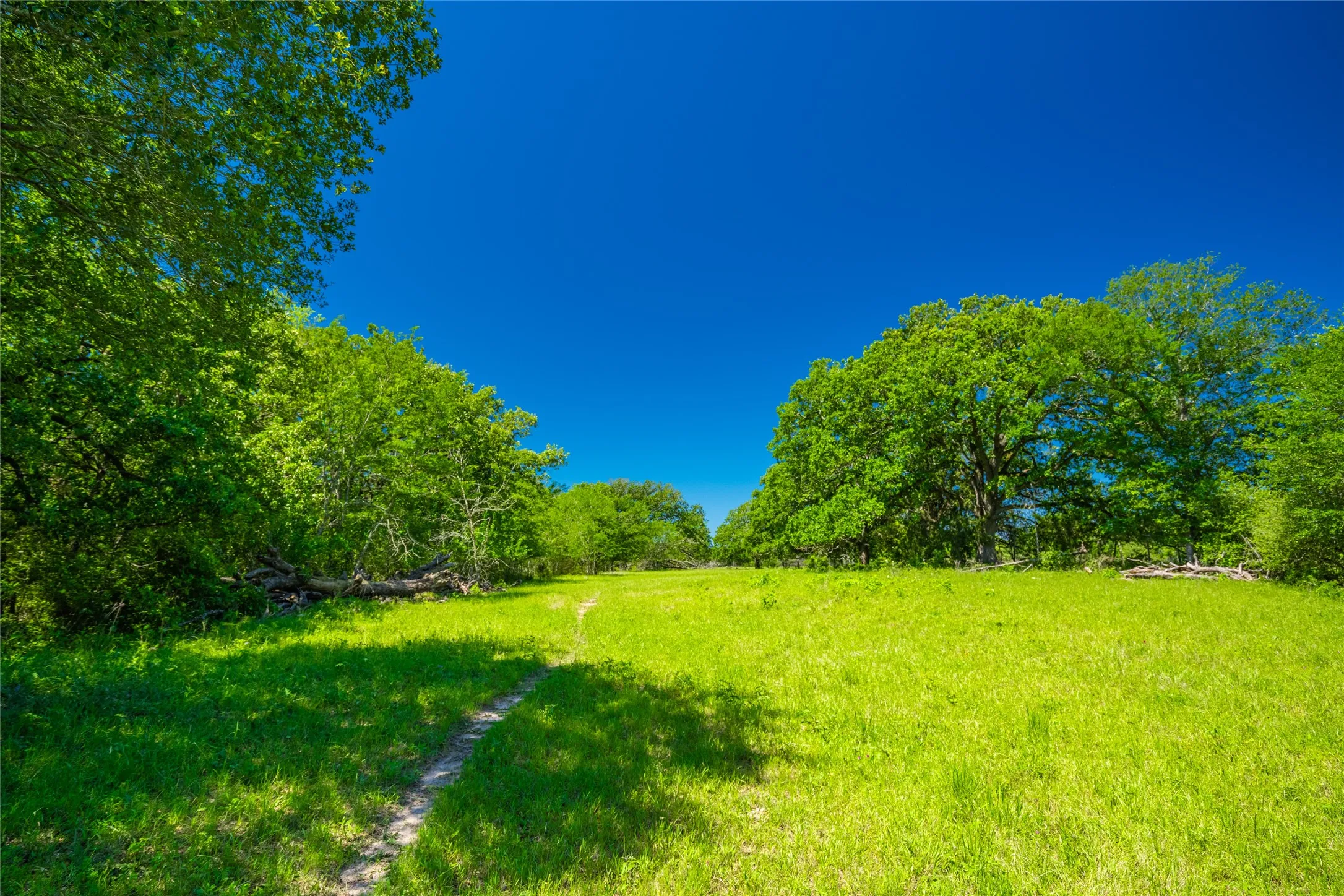 Ranch For Sale in Limestone County , 0 LCR 412, Groesbeck, Texas 76642, 0, 0, Garage spaces, 0 Sqft, built in 0, Price $1,887,000, mls#21166794, Real Estate Agent in Groesbeck, Homes For Sale in Limestone county, Homes For Sale in Groesbeck, Realtor in Groesbeck Texas, Real Estate Brokerage Independent Realty Texas, Luminita Cordes Realtor