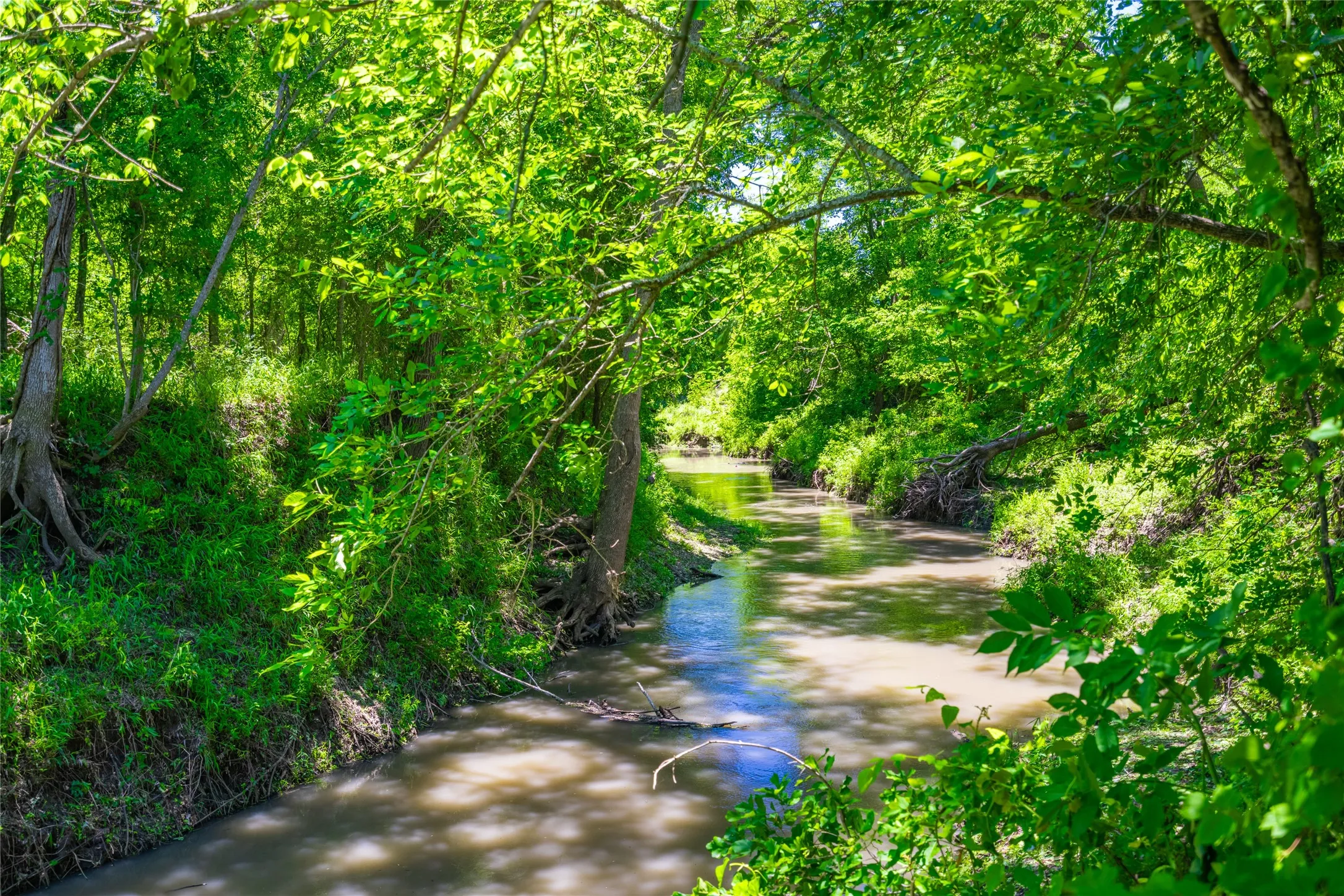 Ranch For Sale in Limestone County , 0 LCR 412, Groesbeck, Texas 76642, 0, 0, Garage spaces, 0 Sqft, built in 0, Price $1,887,000, mls#21166794, Real Estate Agent in Groesbeck, Homes For Sale in Limestone county, Homes For Sale in Groesbeck, Realtor in Groesbeck Texas, Real Estate Brokerage Independent Realty Texas, Luminita Cordes Realtor