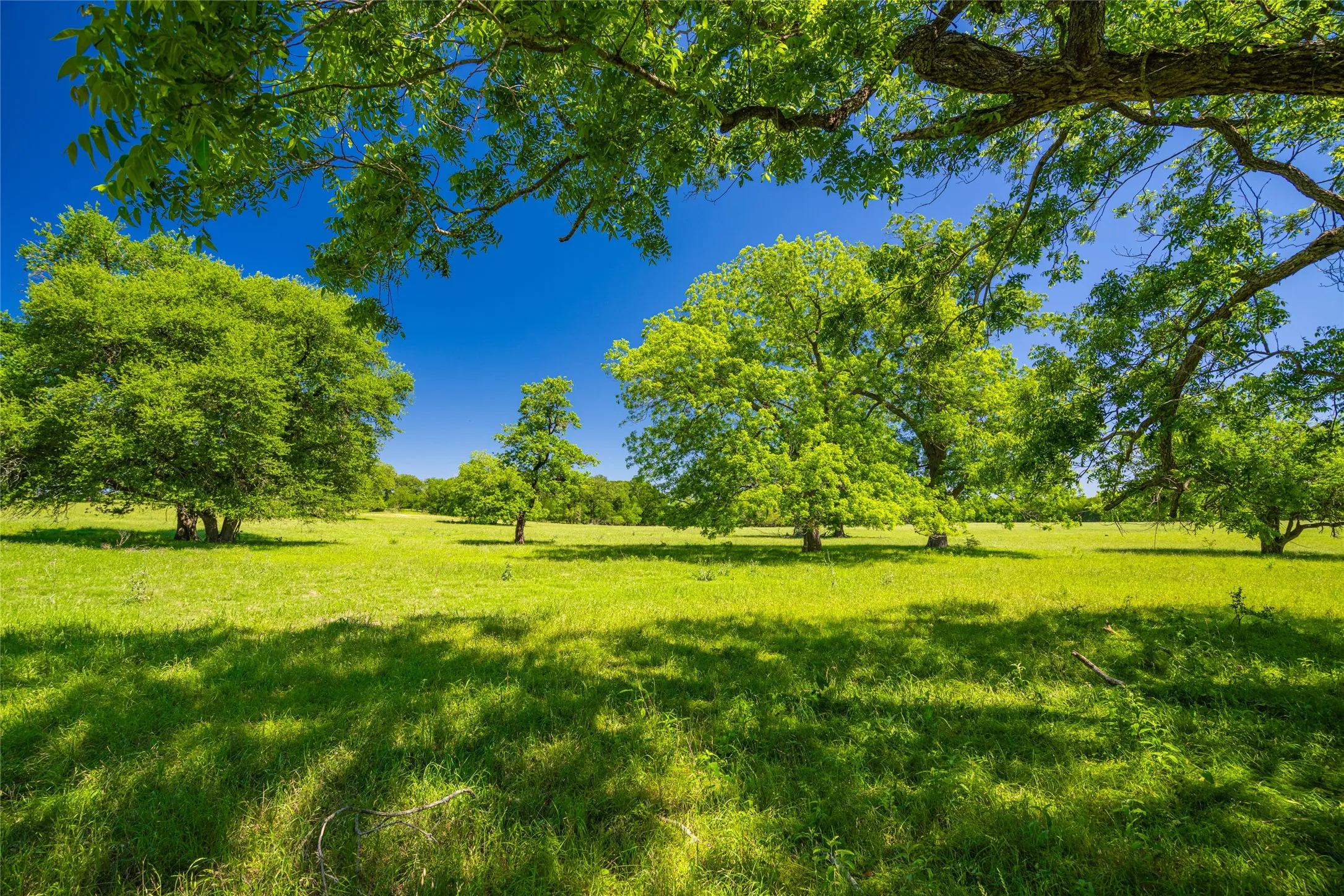 Ranch For Sale in Limestone County , 0 LCR 412, Groesbeck, Texas 76642, 0, 0, Garage spaces, 0 Sqft, built in 0, Price $1,887,000, mls#21166794, Real Estate Agent in Groesbeck, Homes For Sale in Limestone county, Homes For Sale in Groesbeck, Realtor in Groesbeck Texas, Real Estate Brokerage Independent Realty Texas, Luminita Cordes Realtor