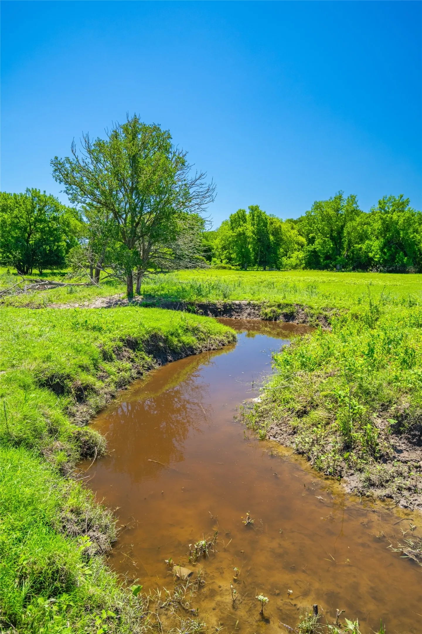 Ranch For Sale in Limestone County , 0 LCR 412, Groesbeck, Texas 76642, 0, 0, Garage spaces, 0 Sqft, built in 0, Price $1,887,000, mls#21166794, Real Estate Agent in Groesbeck, Homes For Sale in Limestone county, Homes For Sale in Groesbeck, Realtor in Groesbeck Texas, Real Estate Brokerage Independent Realty Texas, Luminita Cordes Realtor
