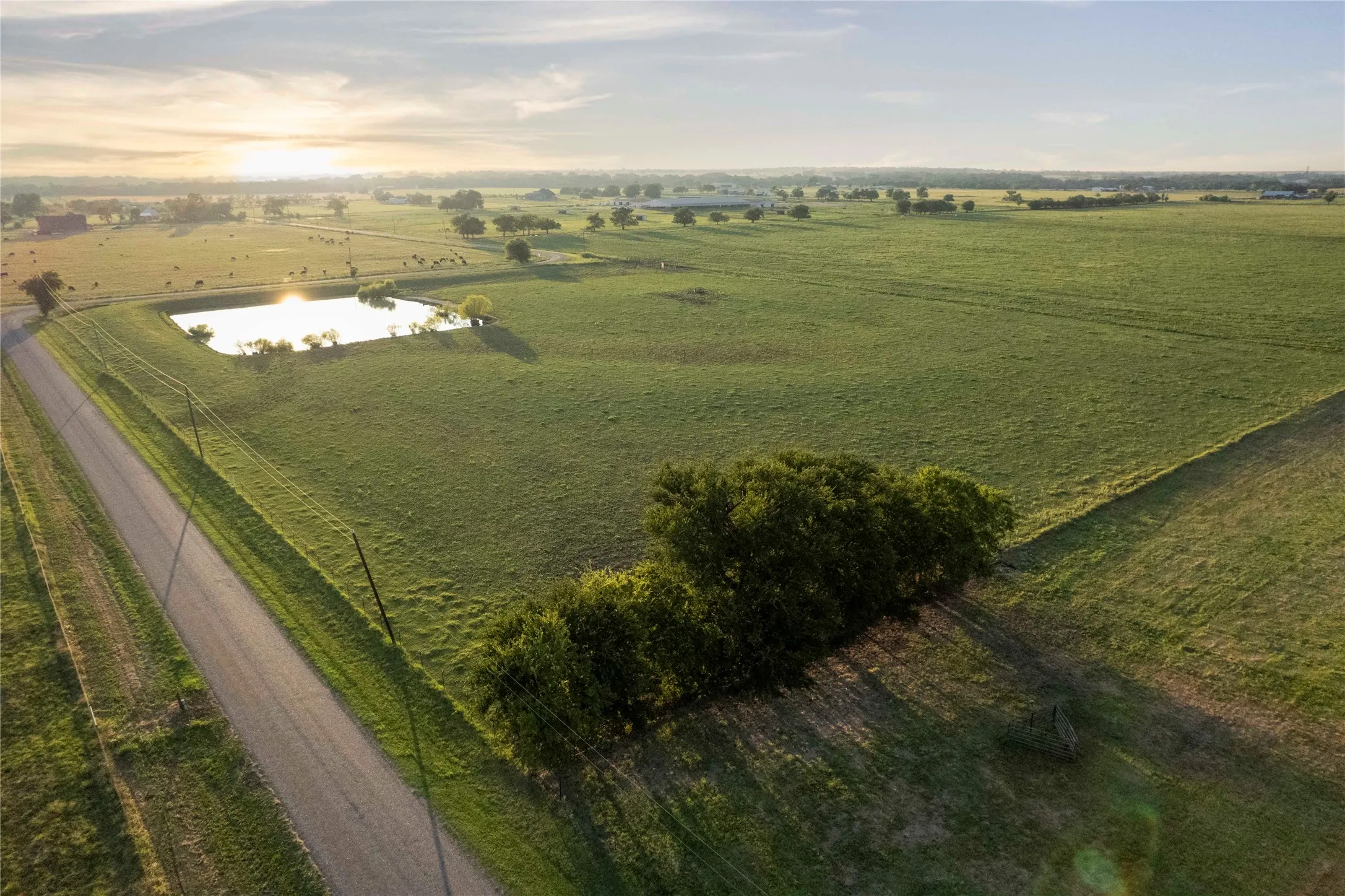 Ranch For Sale in Grayson County , TBD Hog Town Road Road, Collinsville, Texas 76233, 0, 0, Garage spaces, 0 Sqft, built in 0, mls#21166843, Real Estate Agent in Collinsville, Homes For Sale in Grayson county, Homes For Sale in Collinsville, Realtor in Collinsville Texas, Real Estate Brokerage Independent Realty Texas, Luminita Cordes Realtor