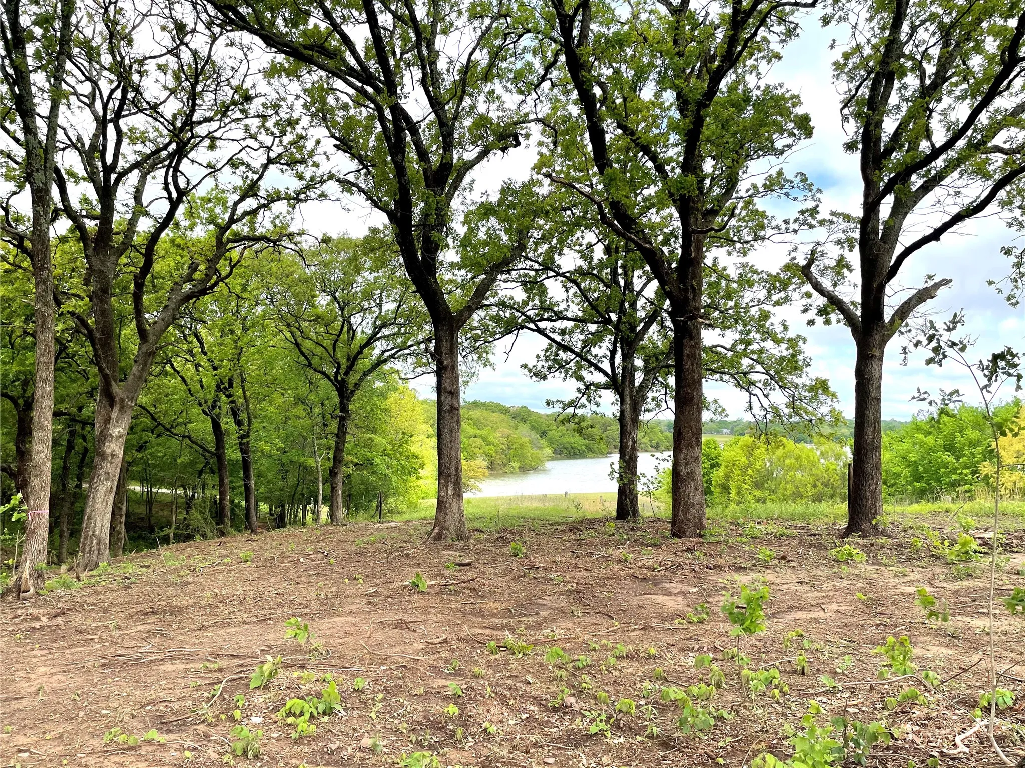 Unimproved Land For Sale in Grayson County , 1800 S Park Avenue, Denison, Texas 75020, 0, 0, Garage spaces, 0 Sqft, built in 0, Price $290,000, mls#21154209, Real Estate Agent in Denison, Homes For Sale in Grayson county, Homes For Sale in Denison, Realtor in Denison Texas, Real Estate Brokerage Independent Realty Texas, Luminita Cordes Realtor