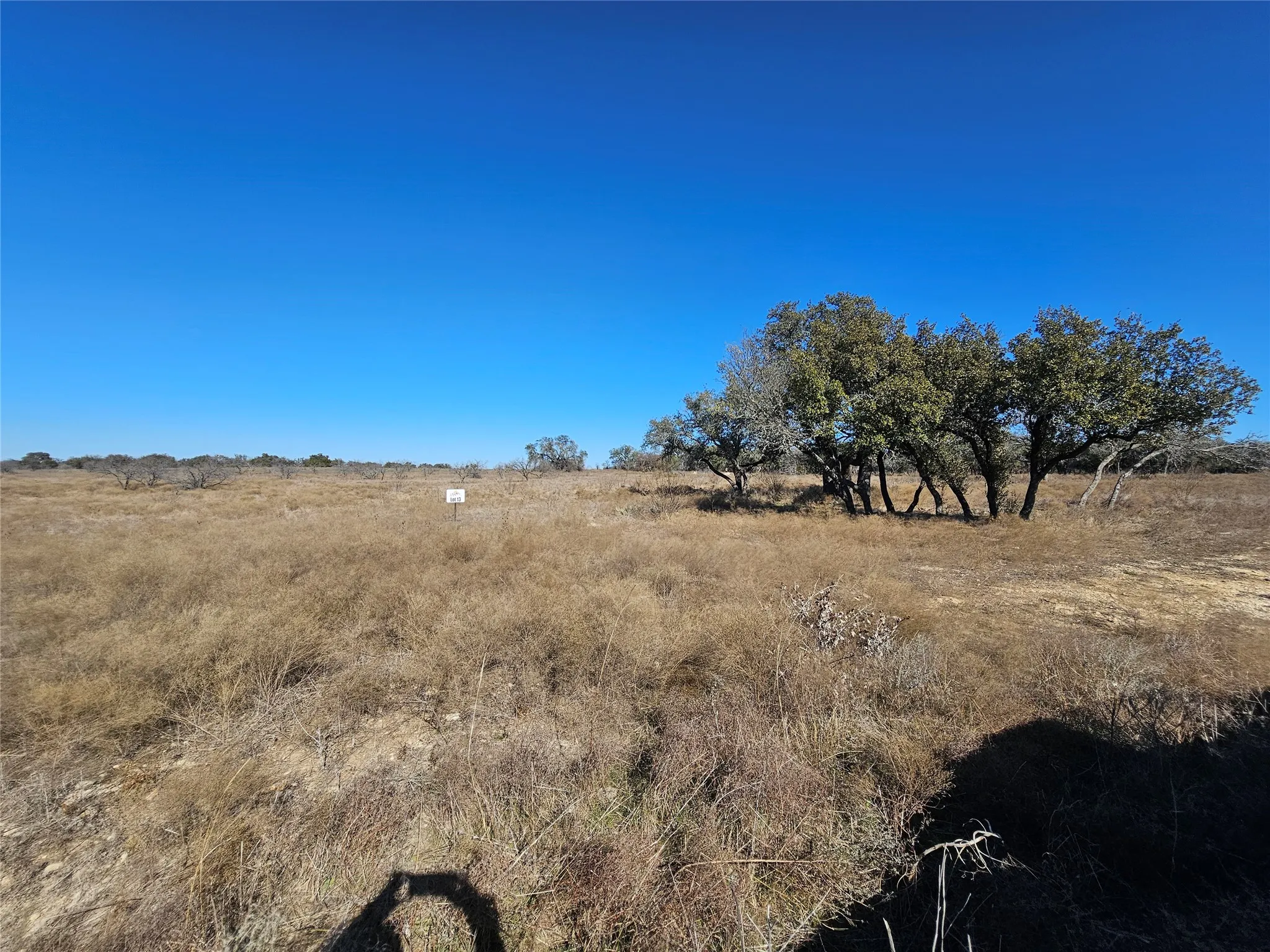 View of nature featuring a rural view