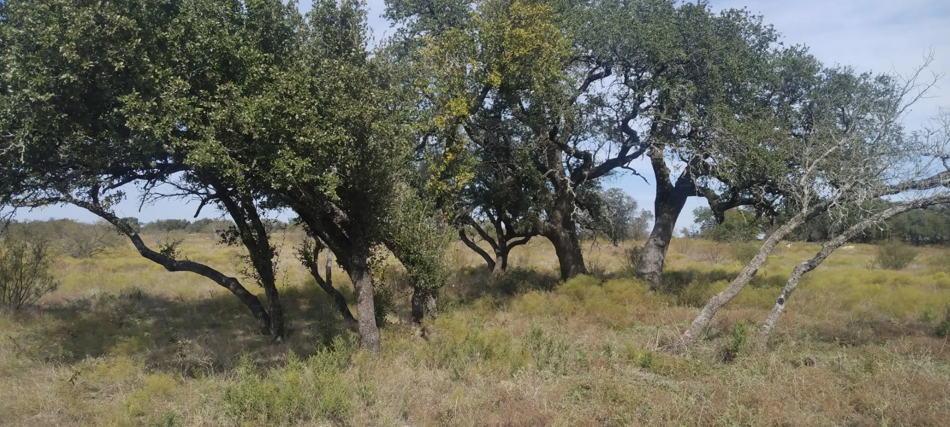 View of landscape